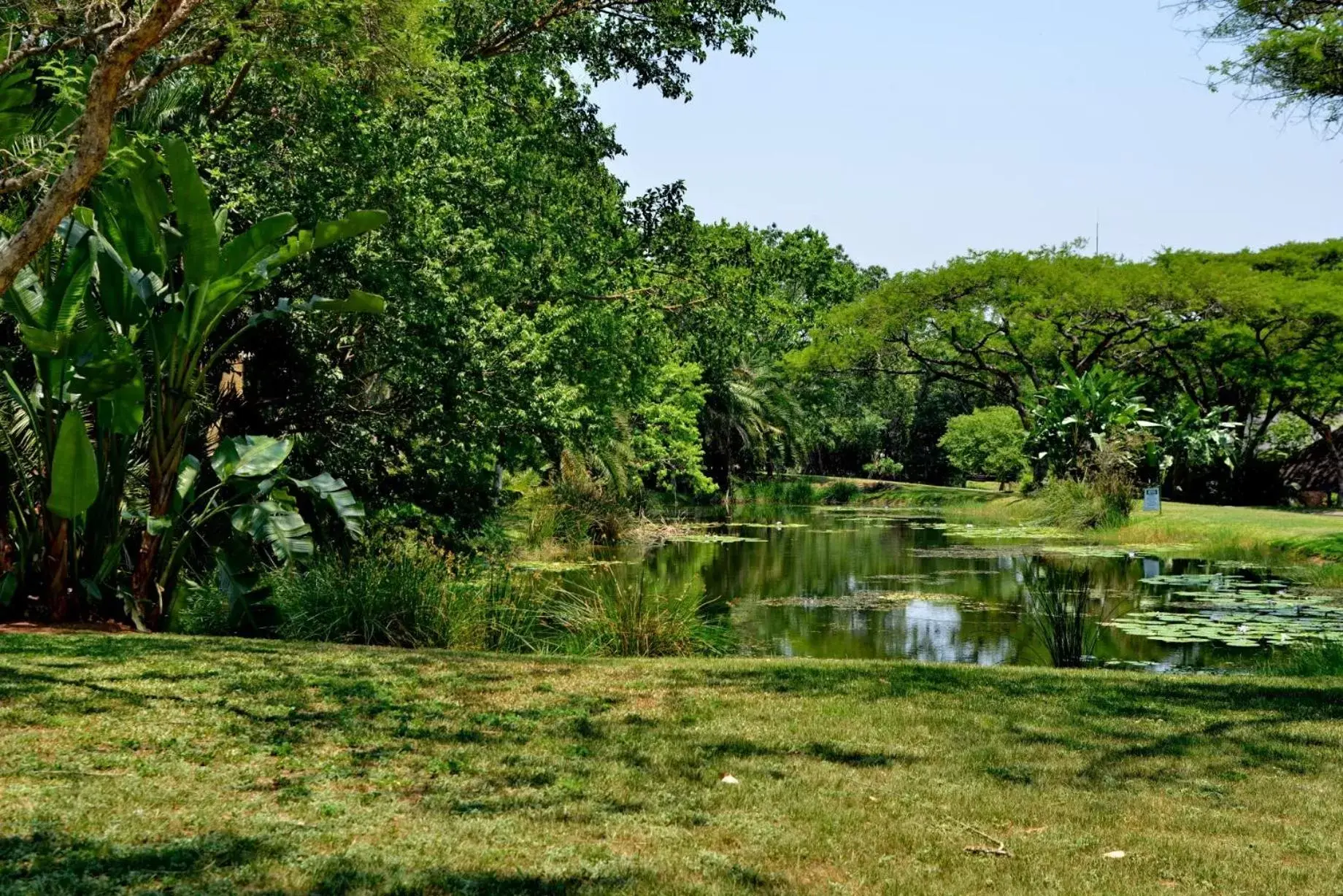Natural landscape, Garden in Cambalala - Luxury Units - in Kruger Park Lodge - Serviced Daily, Free Wi-Fi