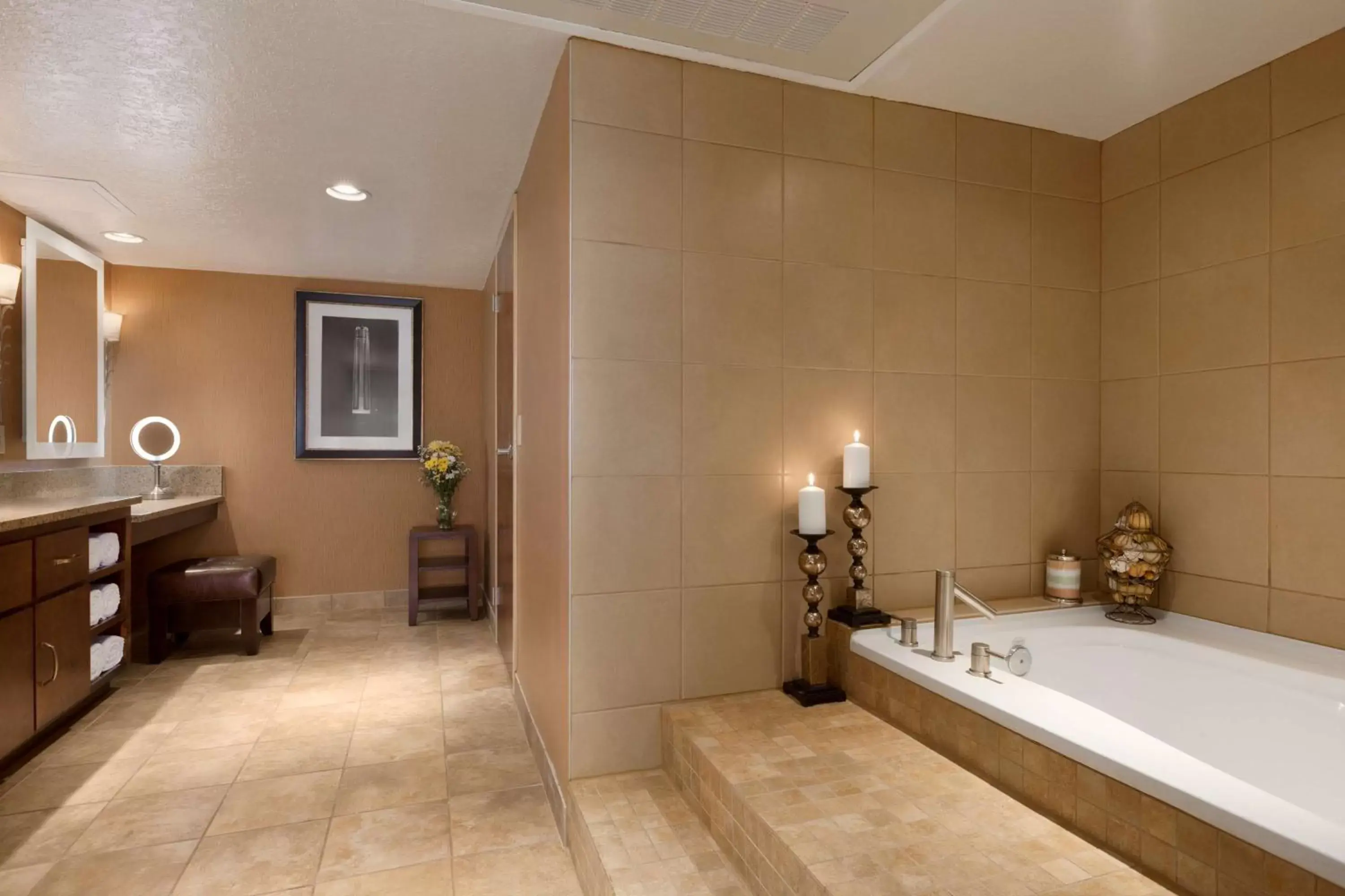 Bathroom in Embassy Suites by Hilton Kansas City International Airport