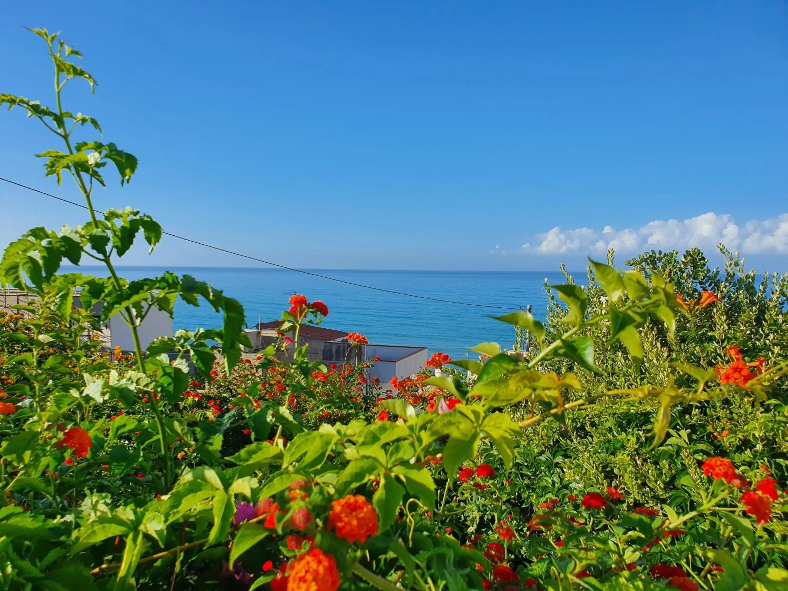 Sea View in Hotel Admeto