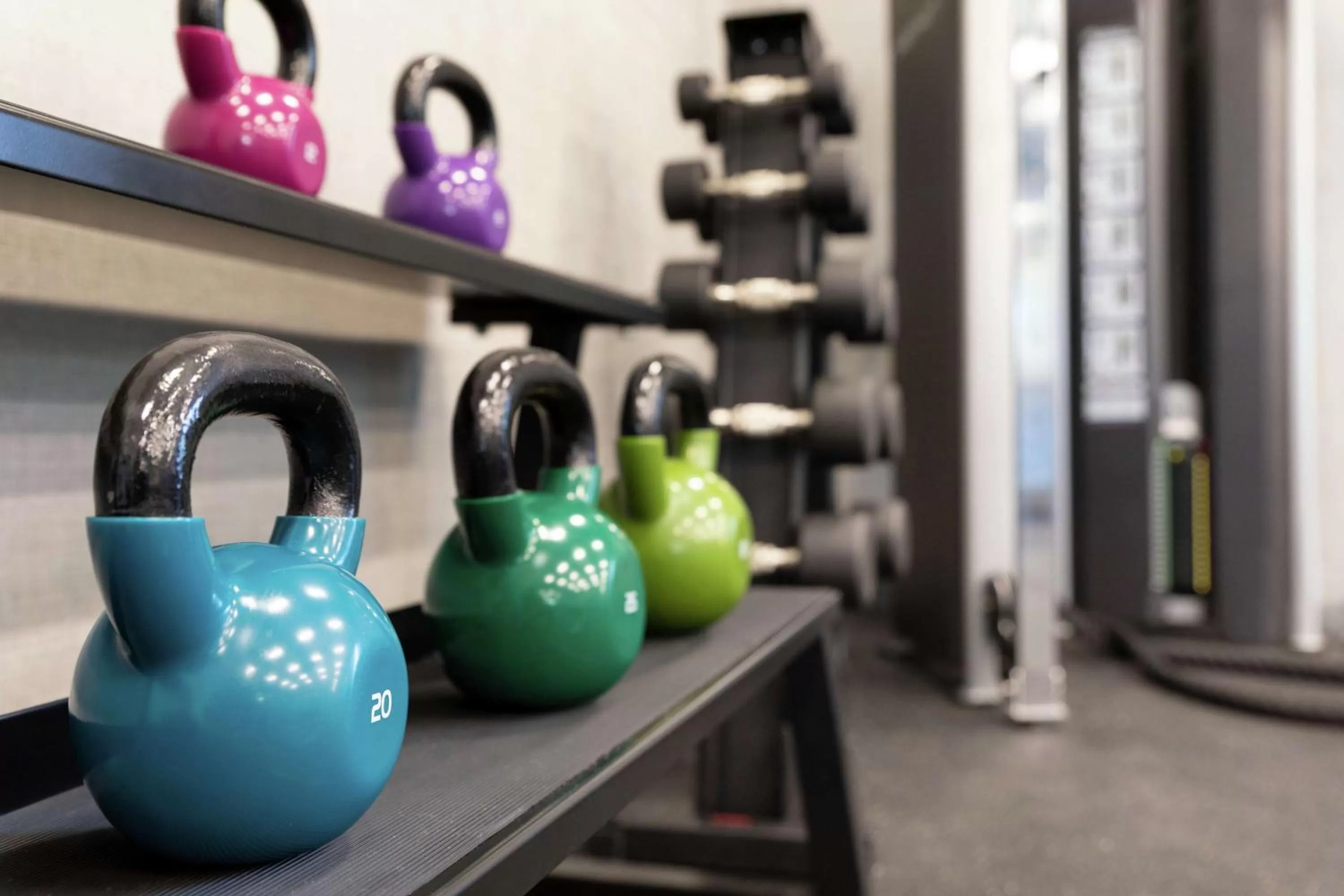 Fitness centre/facilities in Homewood Suites by Hilton Albany Crossgates Mall