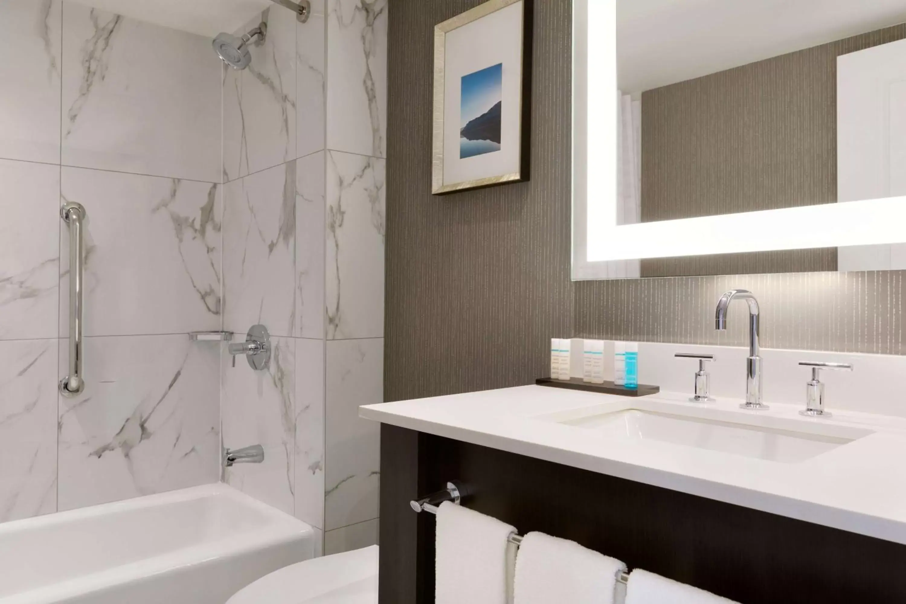 Bathroom in Embassy Suites By Hilton Toronto Airport