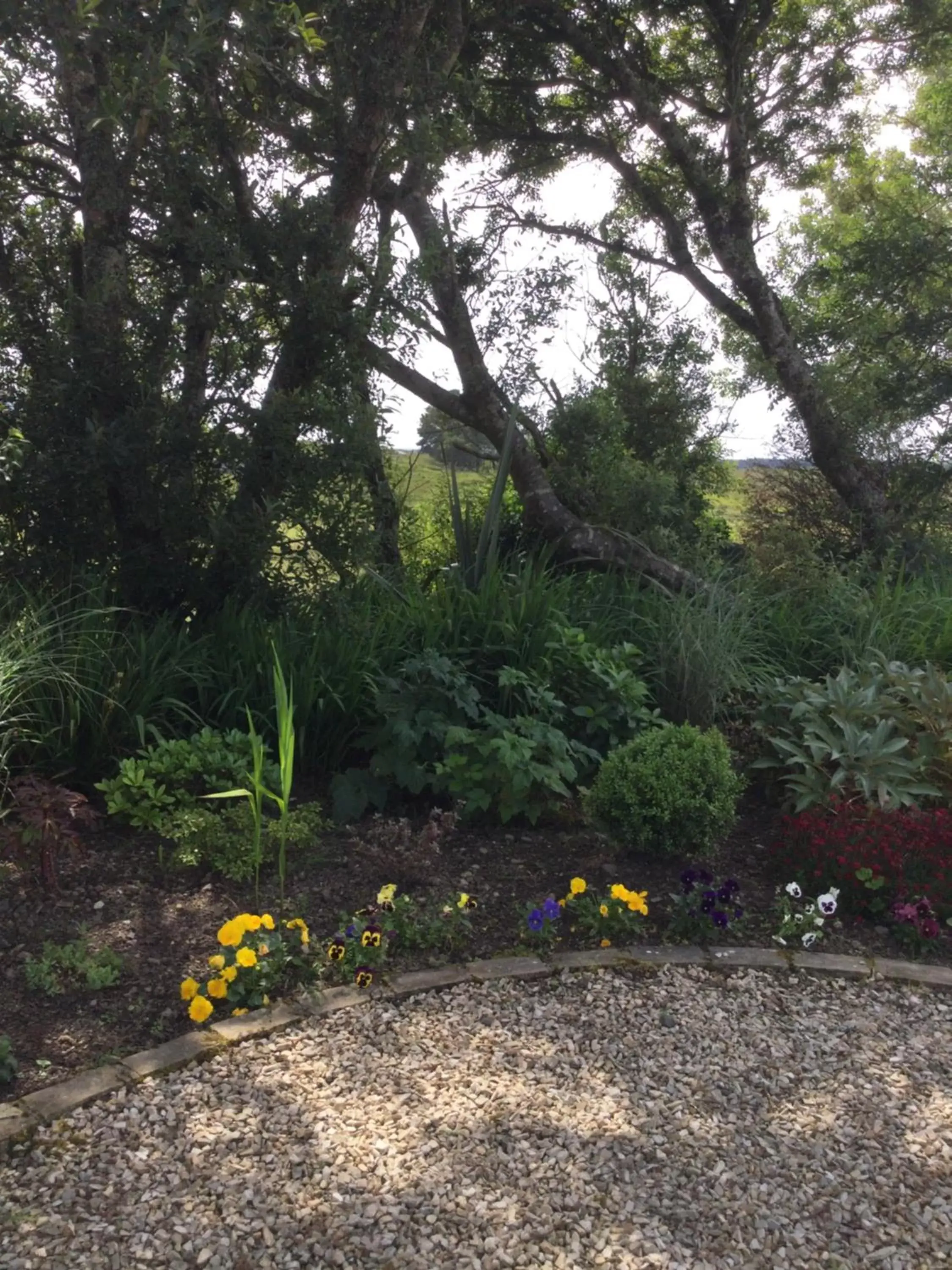 Garden in Tullybeggs B&B