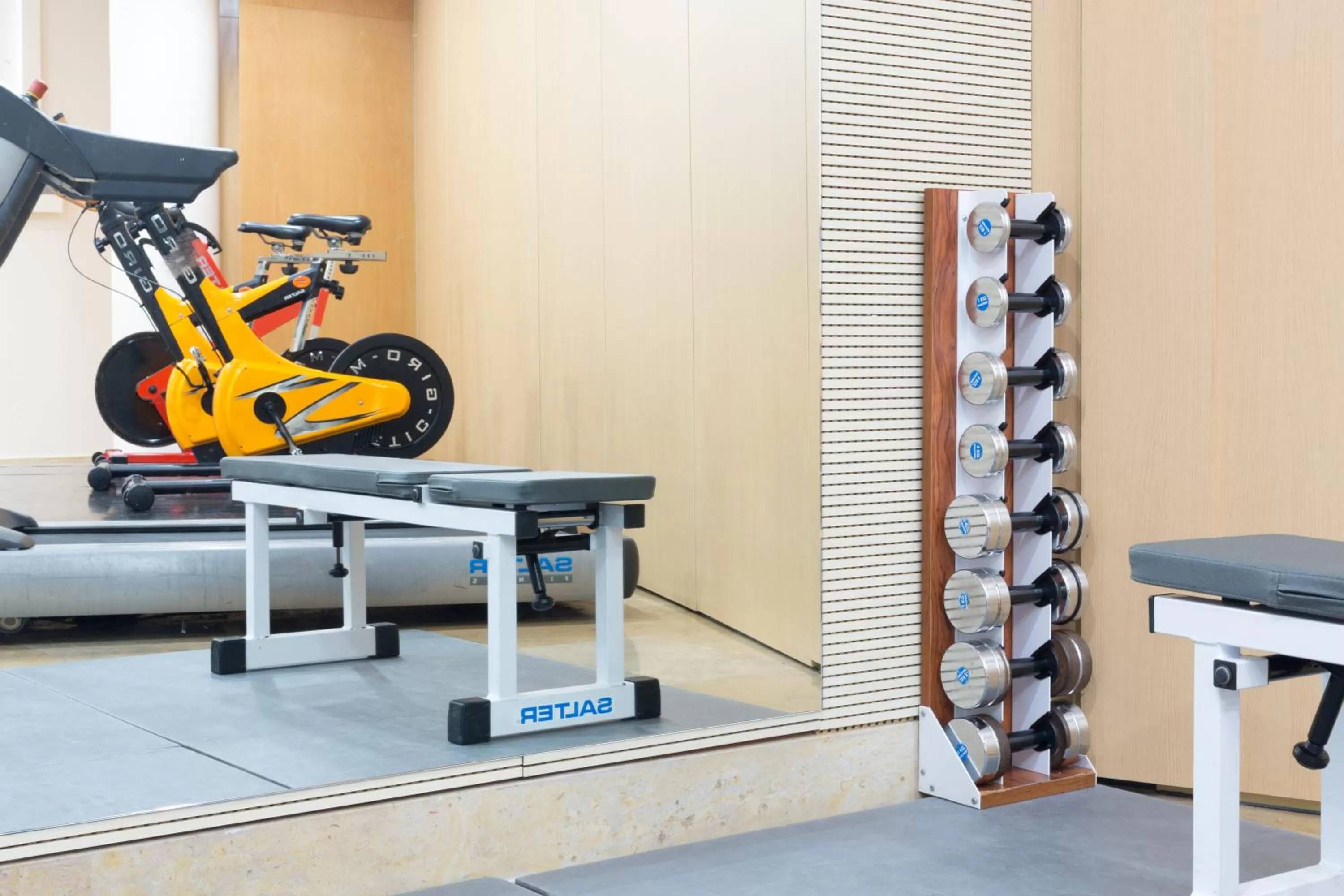 Fitness centre/facilities in Hotel Palacio de Aiete