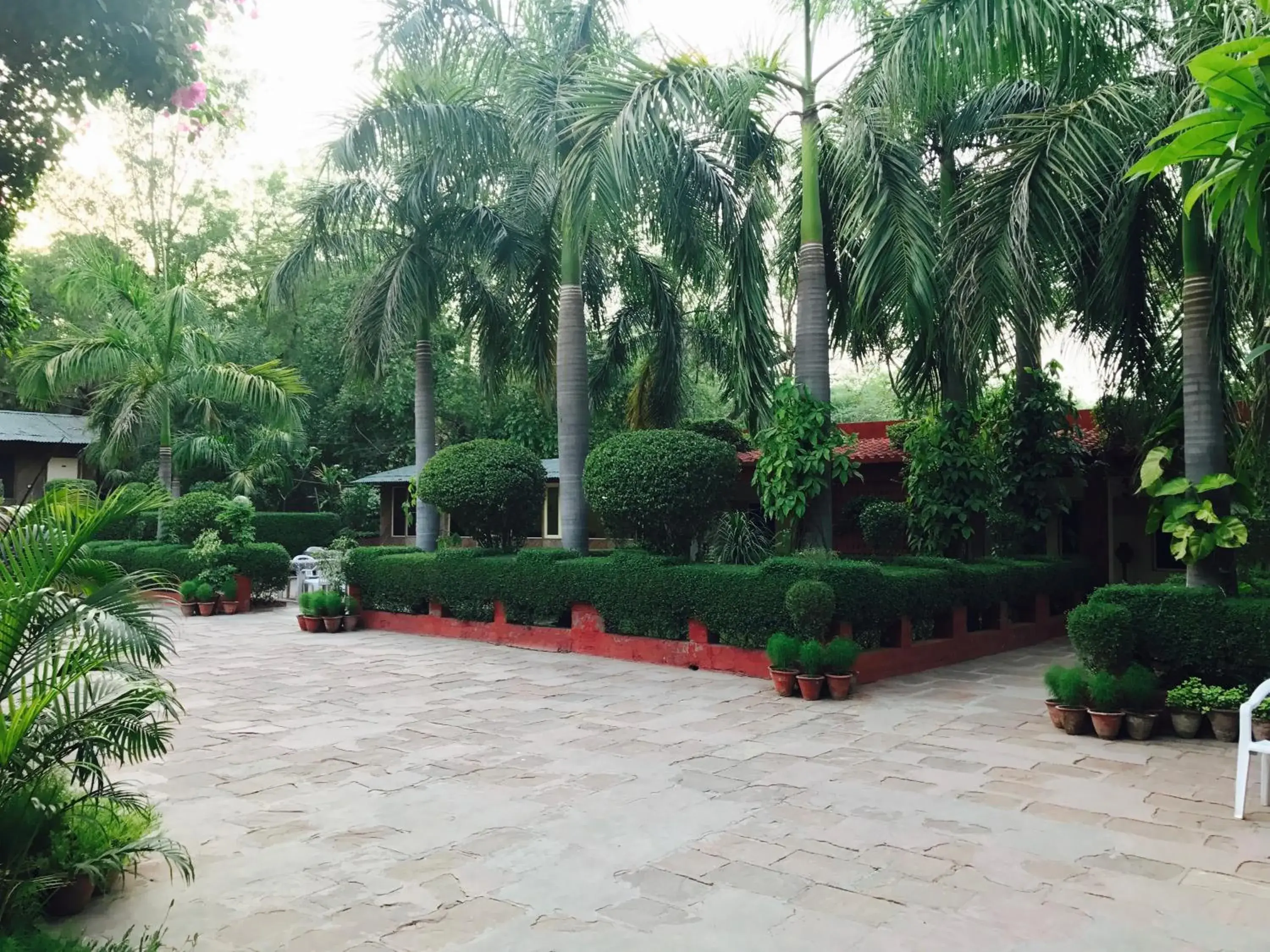 Garden view, Garden in Hotel Sheela