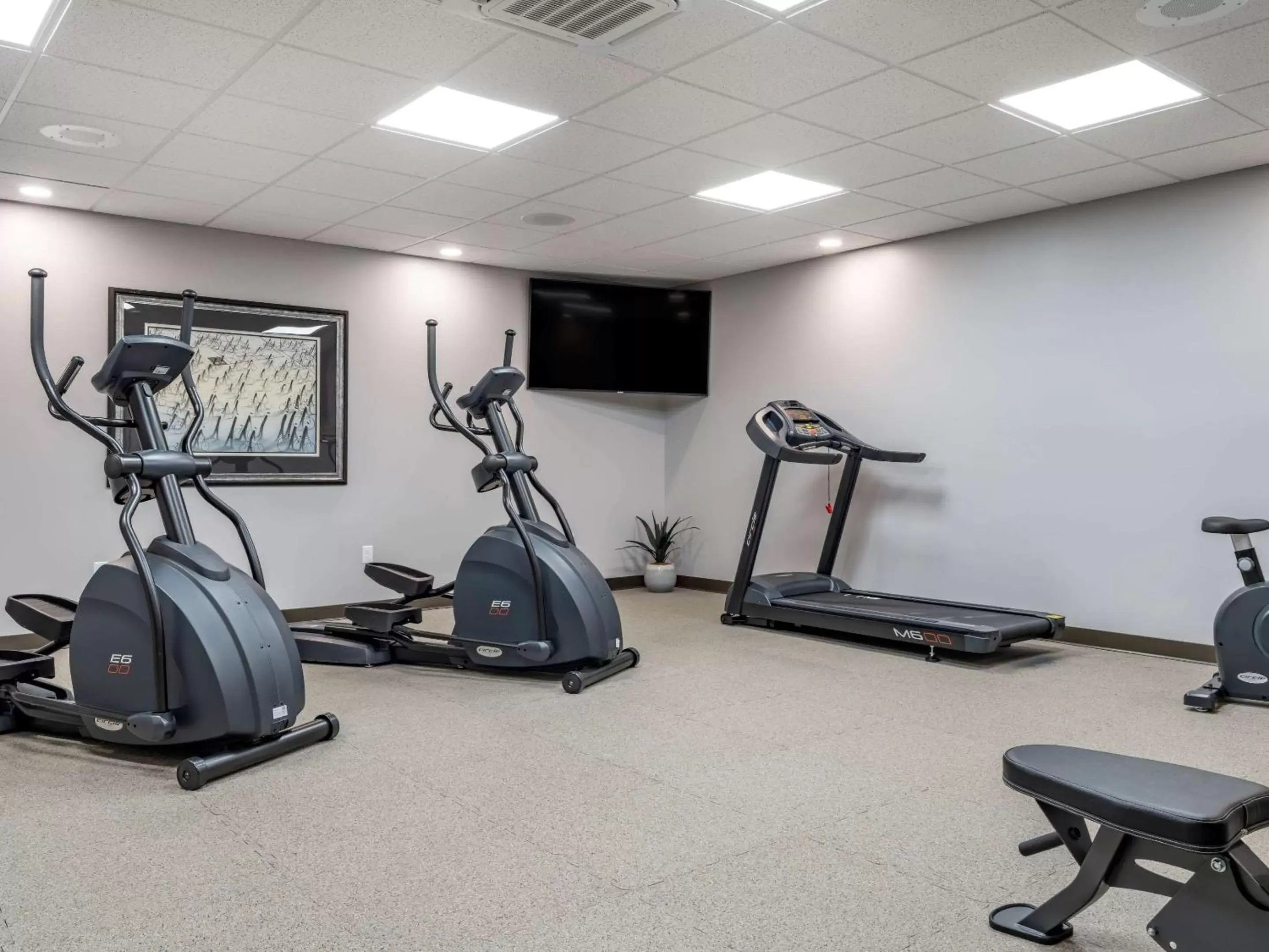 Activities, Fitness Center/Facilities in The Cranberry, Ascend Hotel Collection
