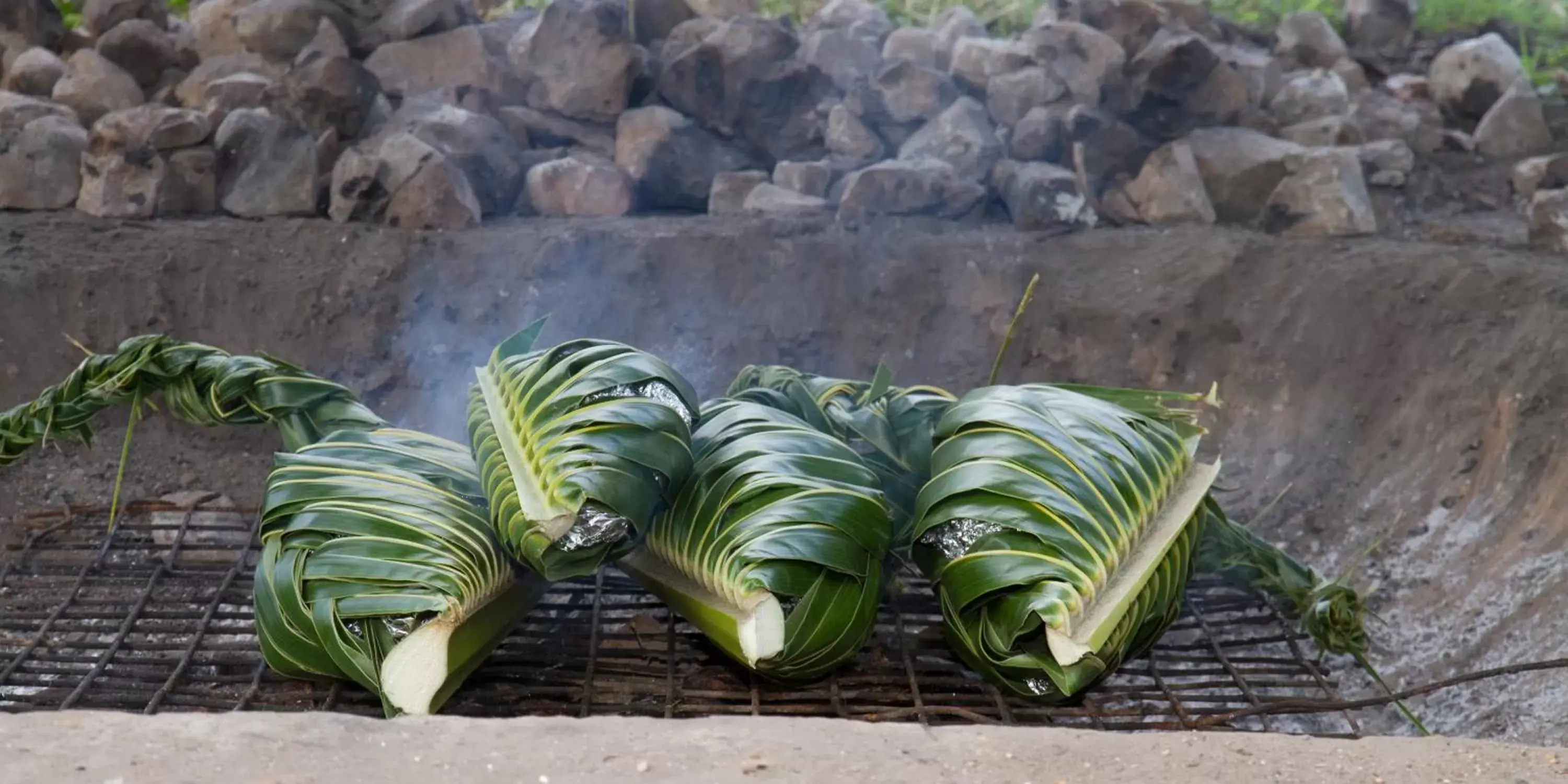 Food in Tanoa International Hotel