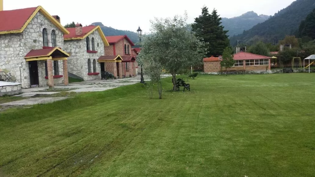 Garden in Hotel Real de San Antonio