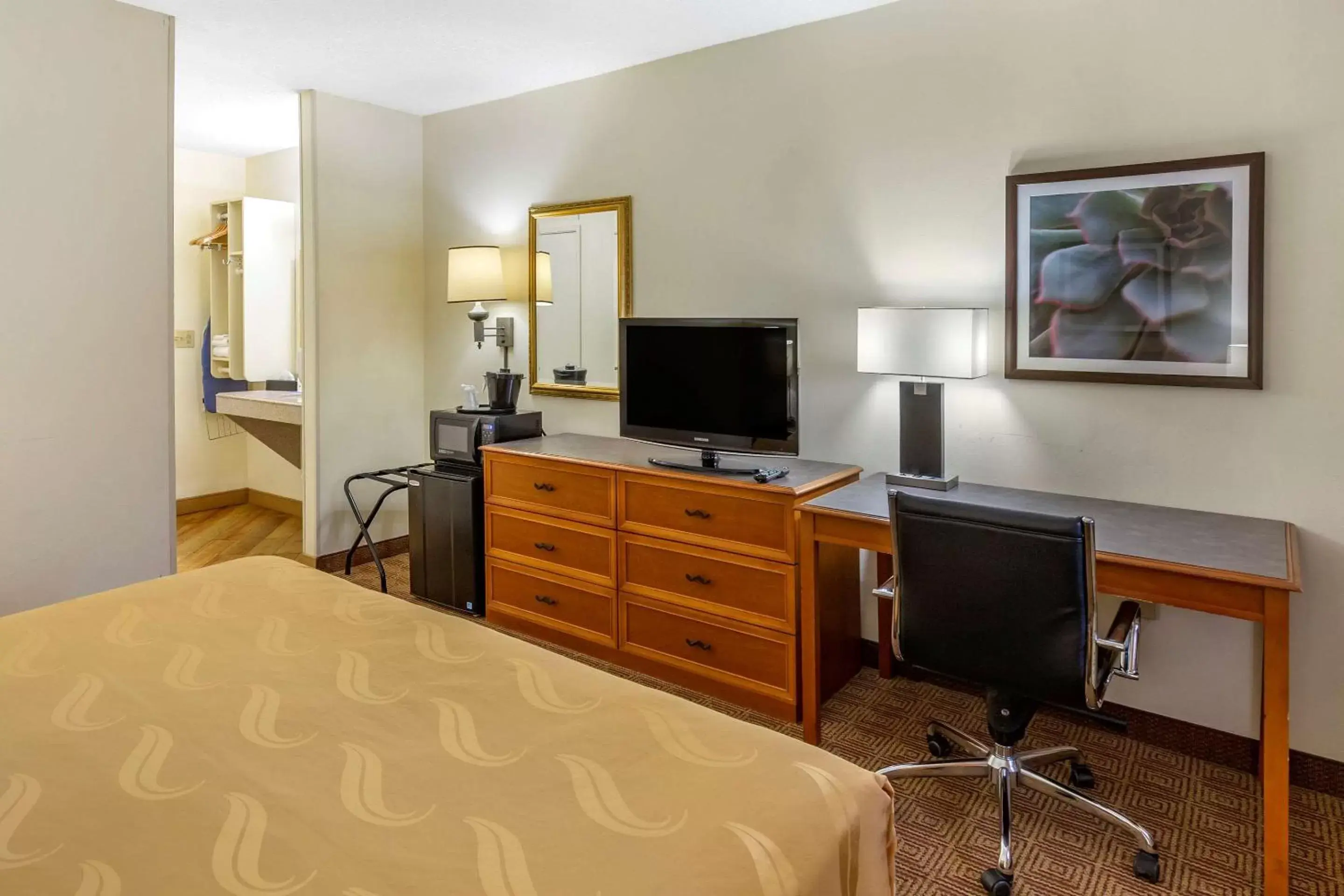 Photo of the whole room, TV/Entertainment Center in Quality Inn & Suites Raleigh Durham Airport