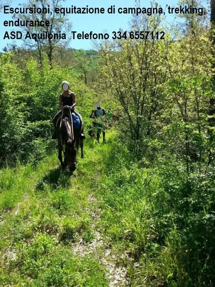 Natural landscape, Horseback Riding in B&B Il girasole - A casa di Ale