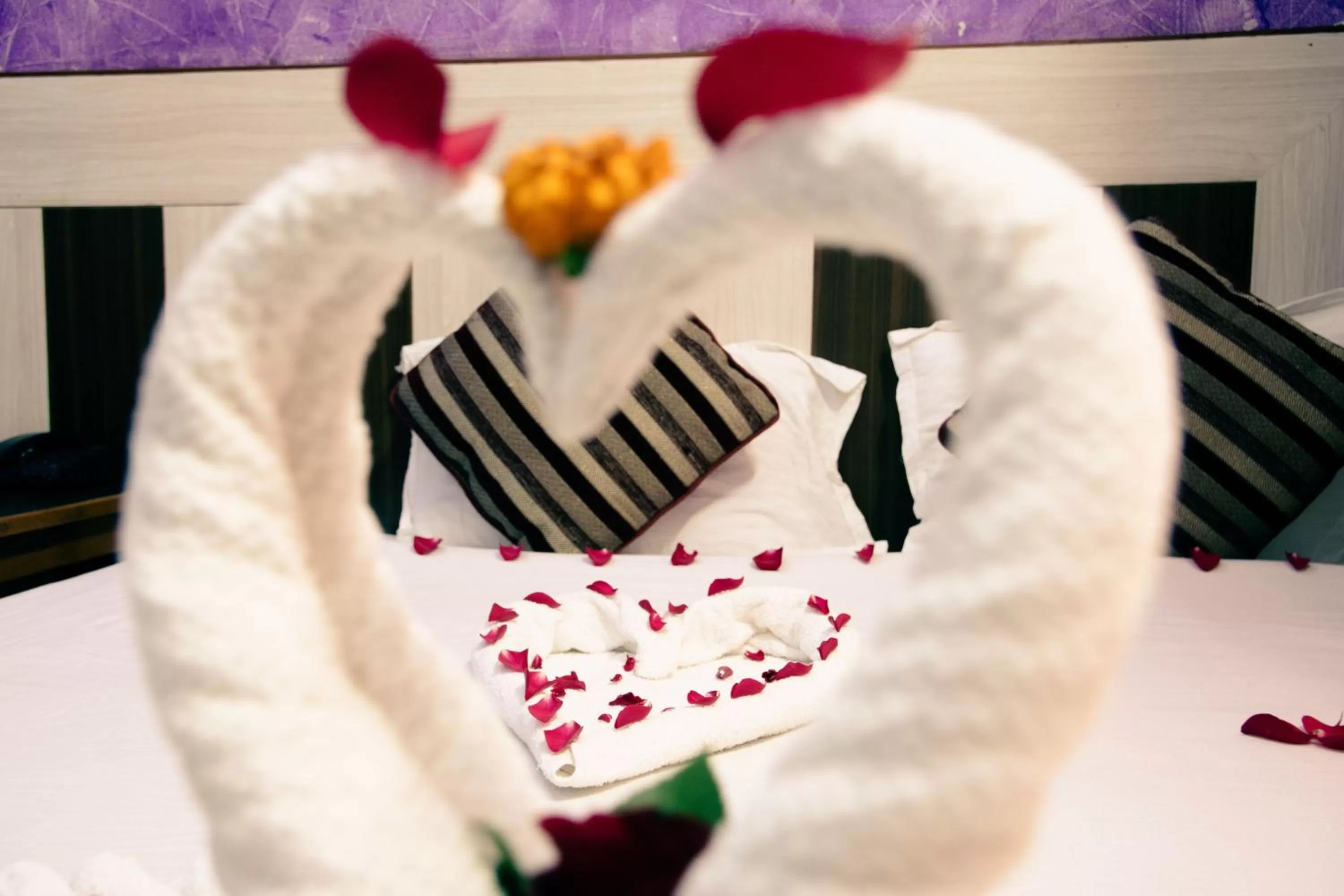 Hotel Middle Point Pvt Ltd