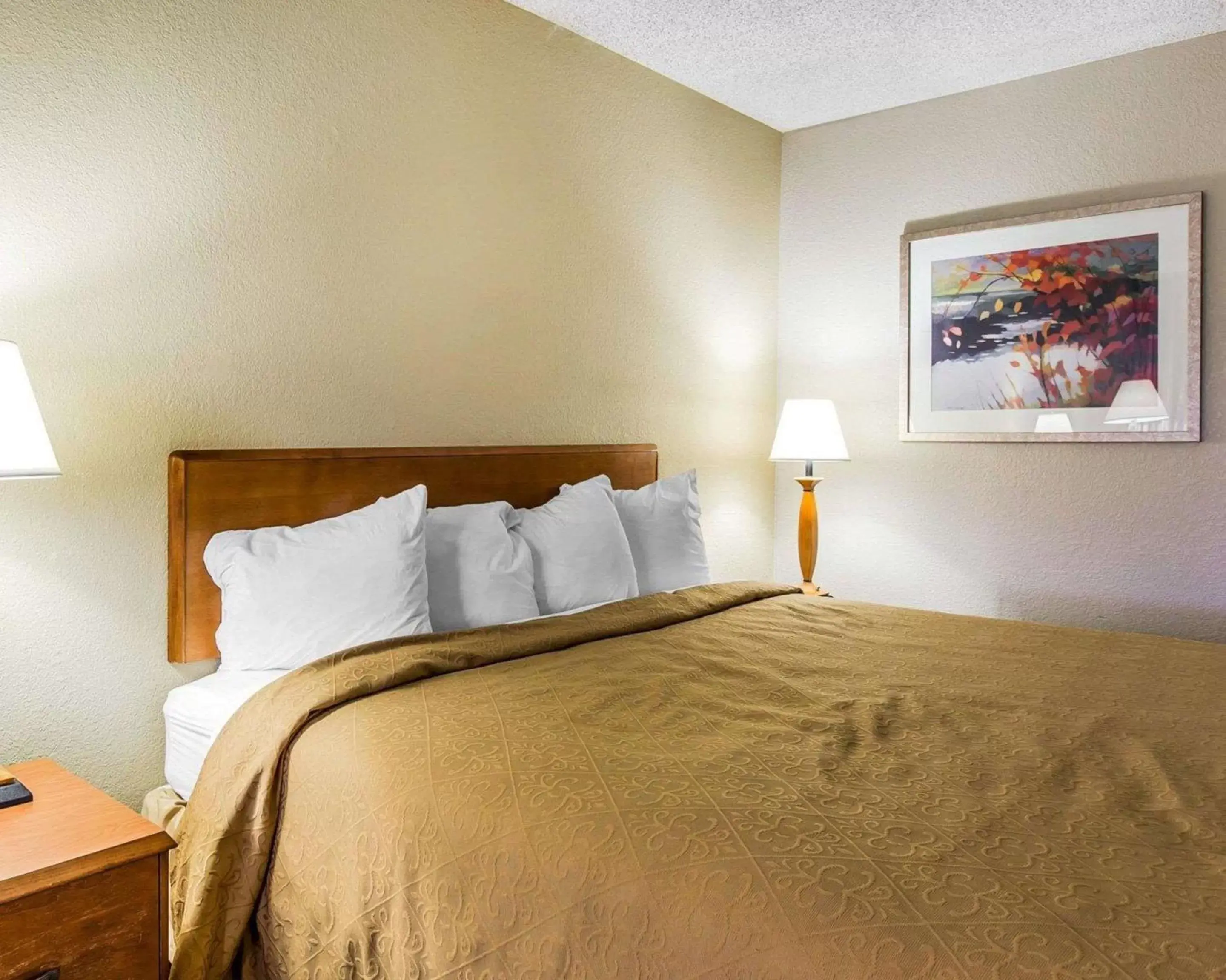 Photo of the whole room, Bed in Quality Inn At The Mall - Valdosta