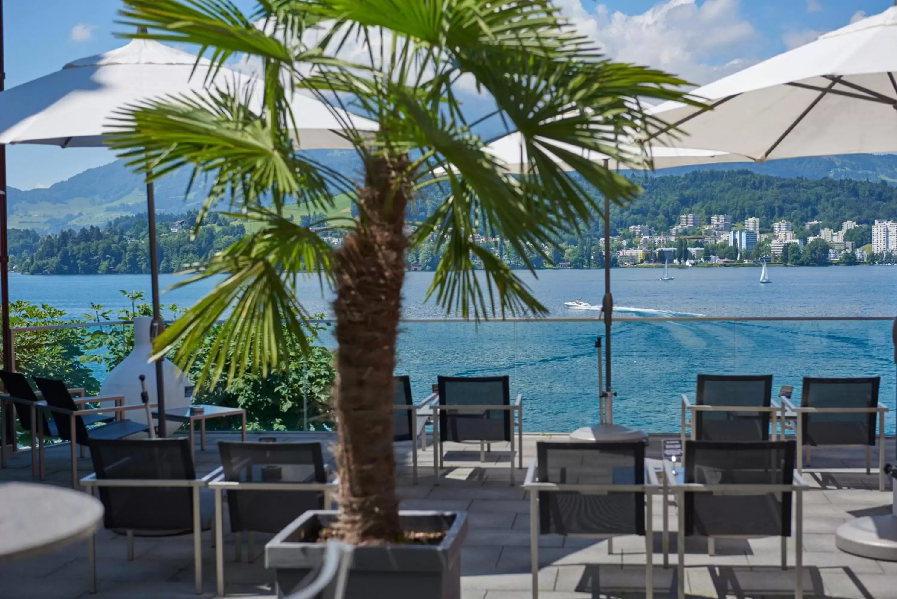 Balcony/Terrace in HERMITAGE Lake Lucerne - Beach Club & Lifestyle Hotel