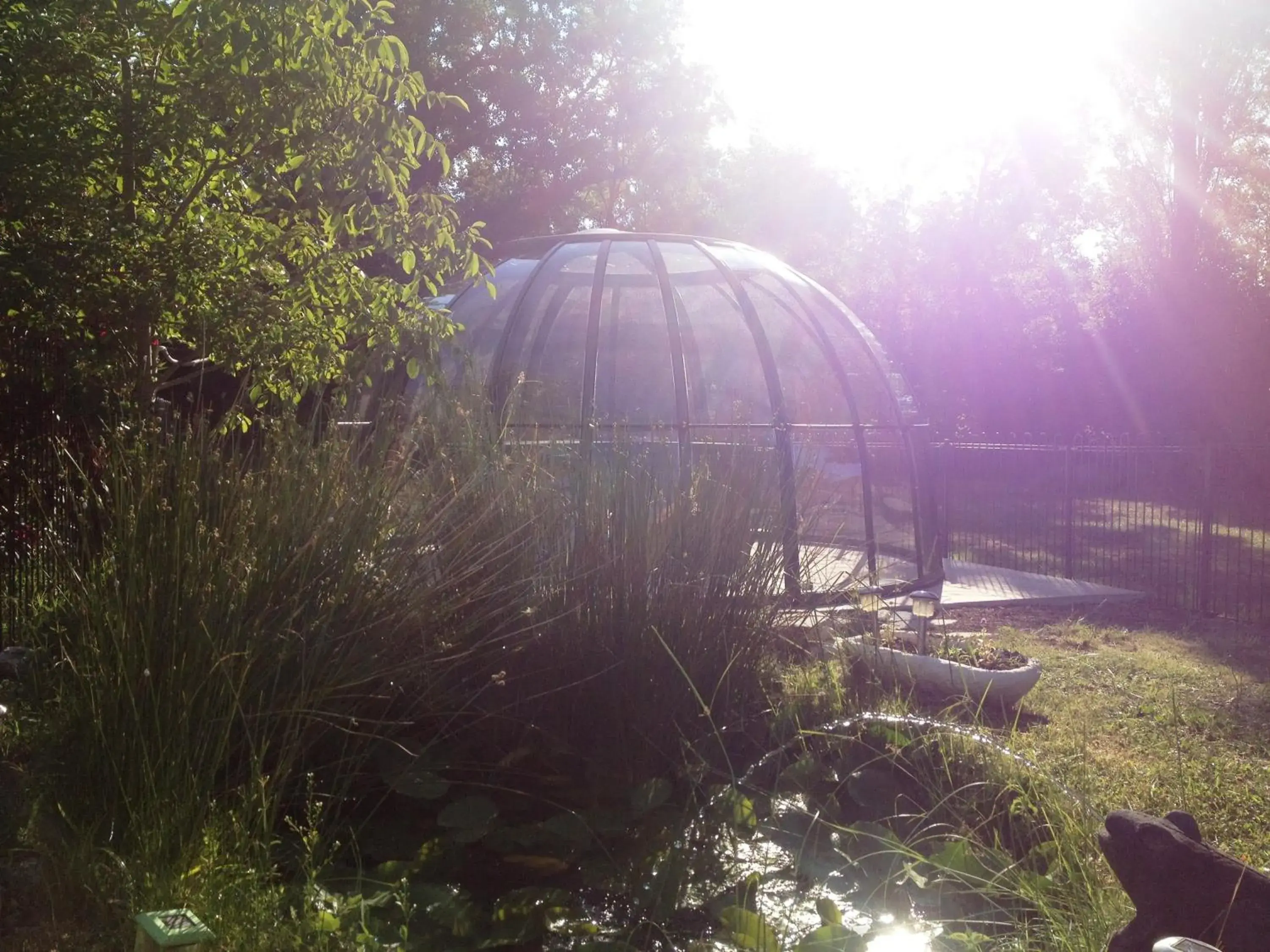 Garden in Hotel-Restaurant Le Moulin De La Camandoule