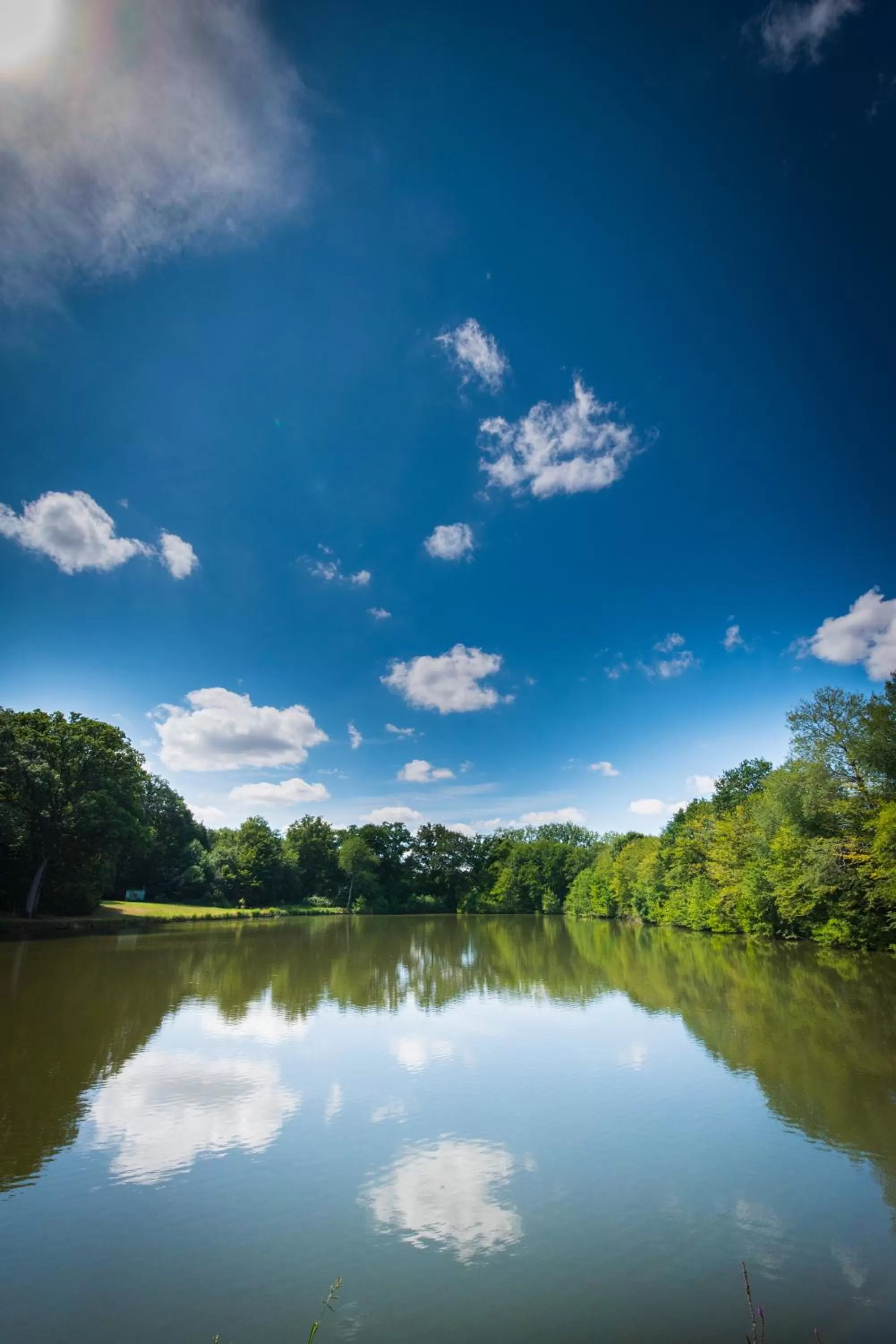 Natural landscape in Hôtel du Domaine de La Groirie - Le Mans