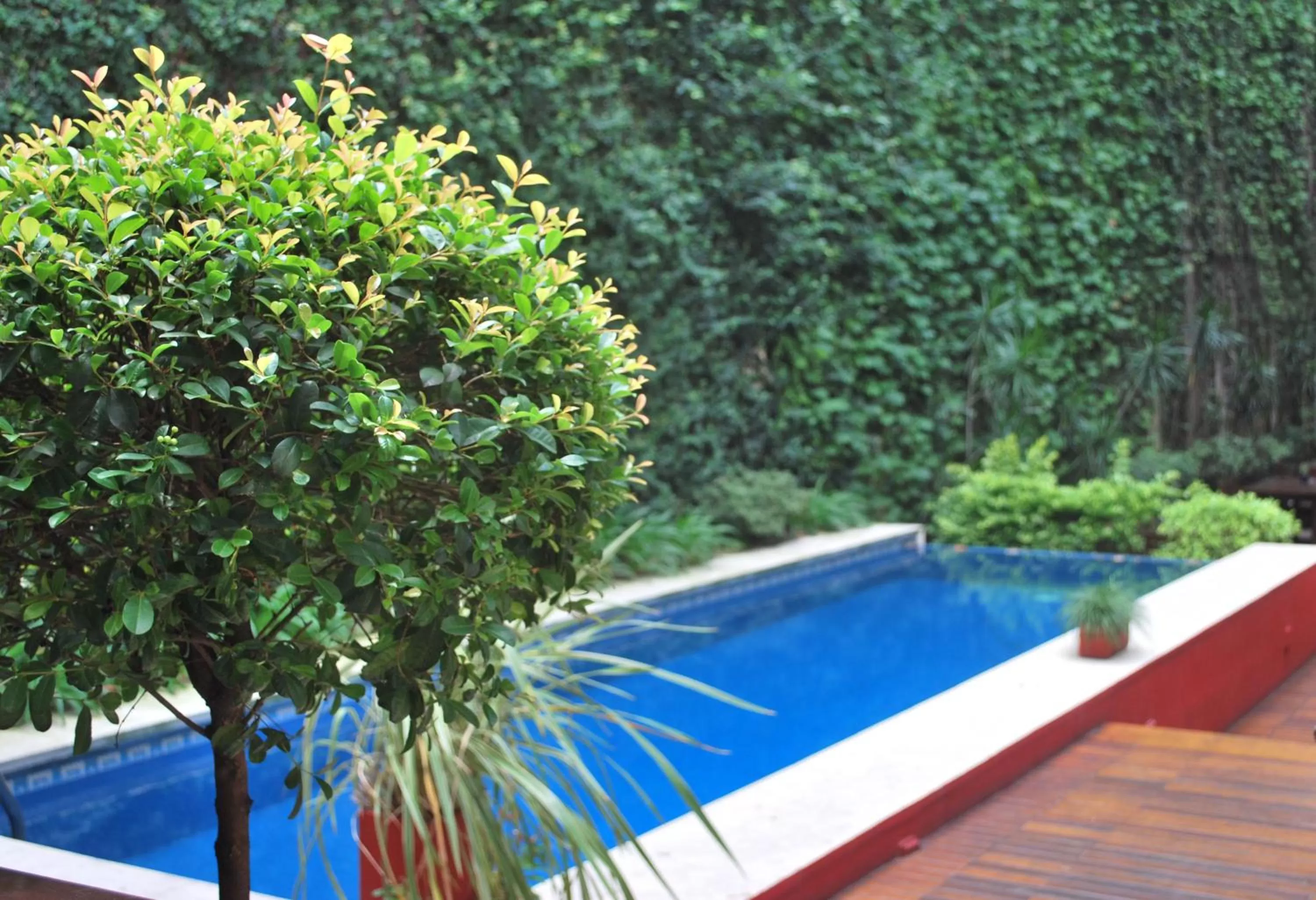 Swimming pool in Ribera Sur Hotel