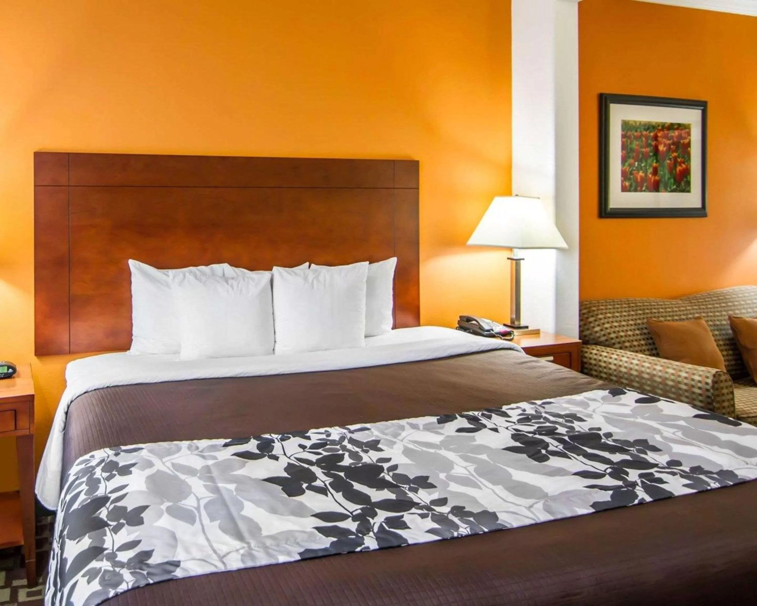 Photo of the whole room, Bed in Sleep Inn & Suites Shreveport West