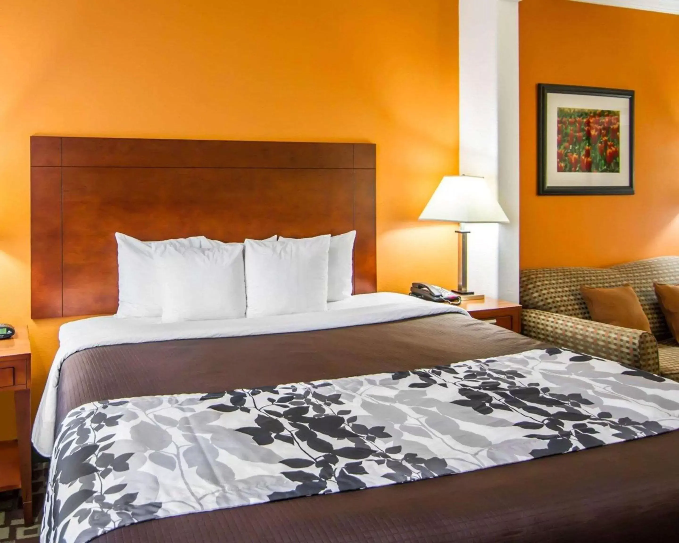 King Suite - Non-Smoking in Sleep Inn & Suites Shreveport West King Suite - Non-Smoking in Sleep Inn & Suites Shreveport West