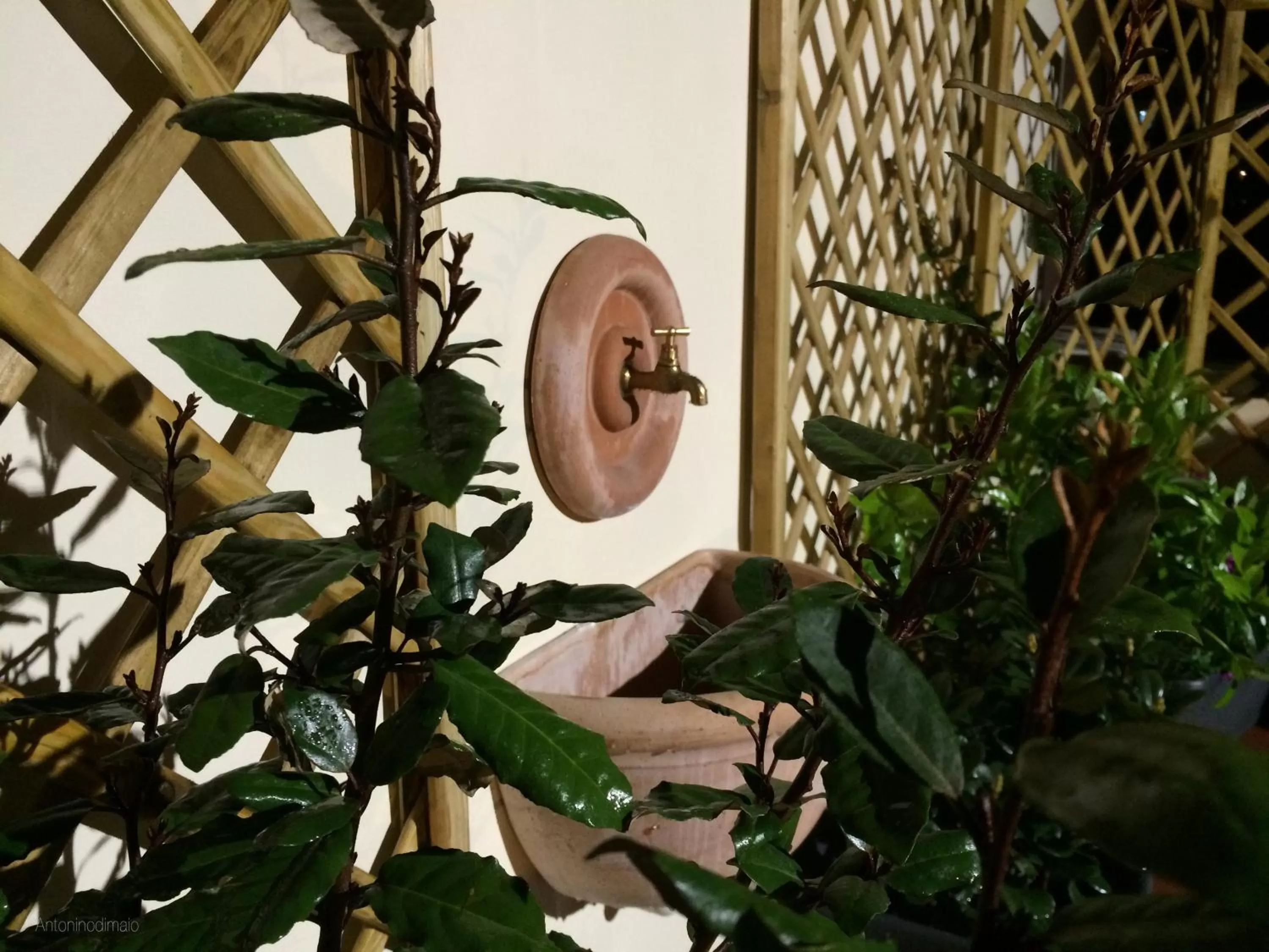 Balcony/Terrace in Il Giardino Segreto