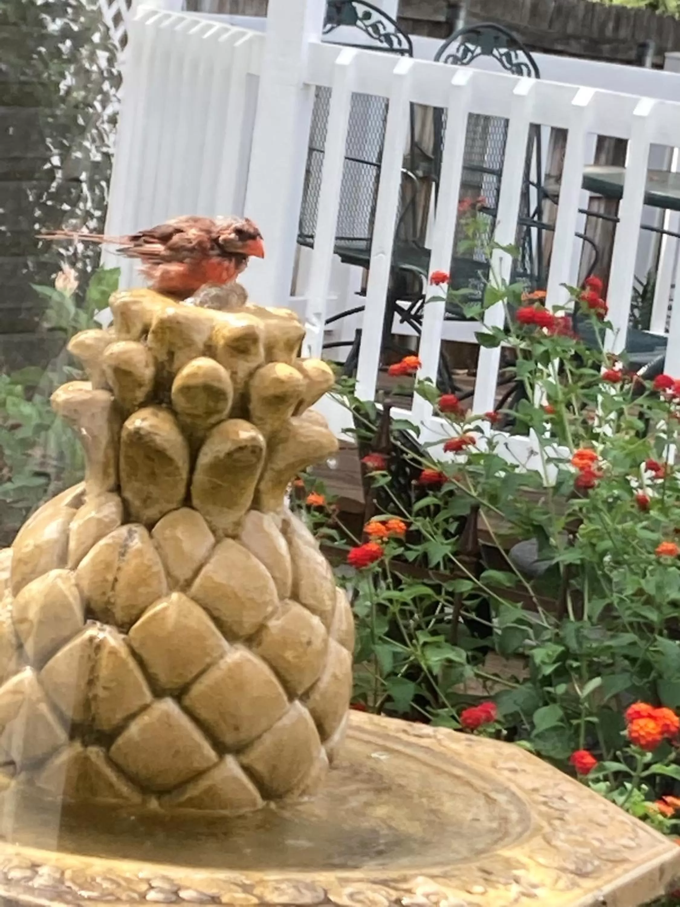 Garden in Granbury Gardens Bed and Breakfast