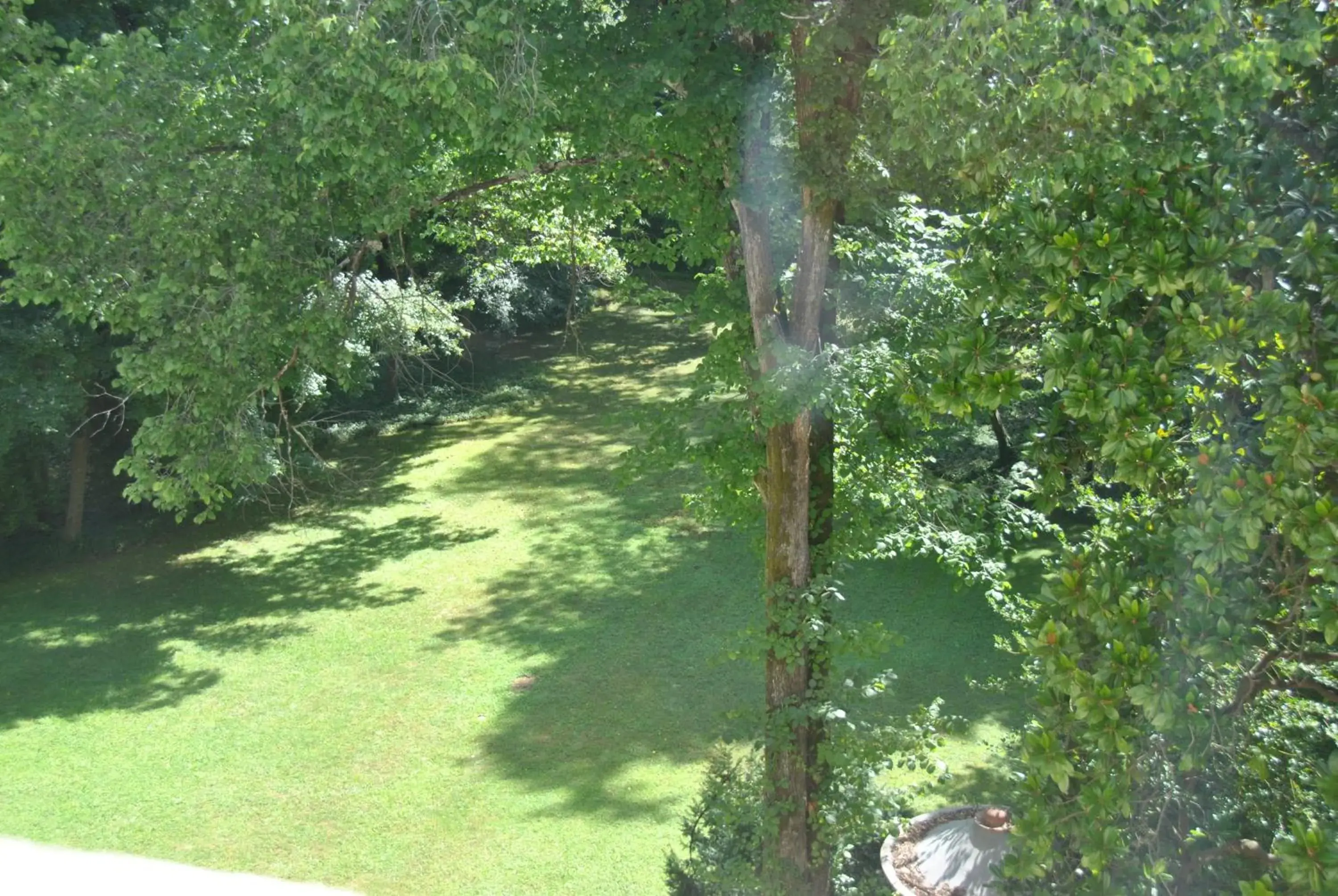 Garden in Hotel Villa La Principessa