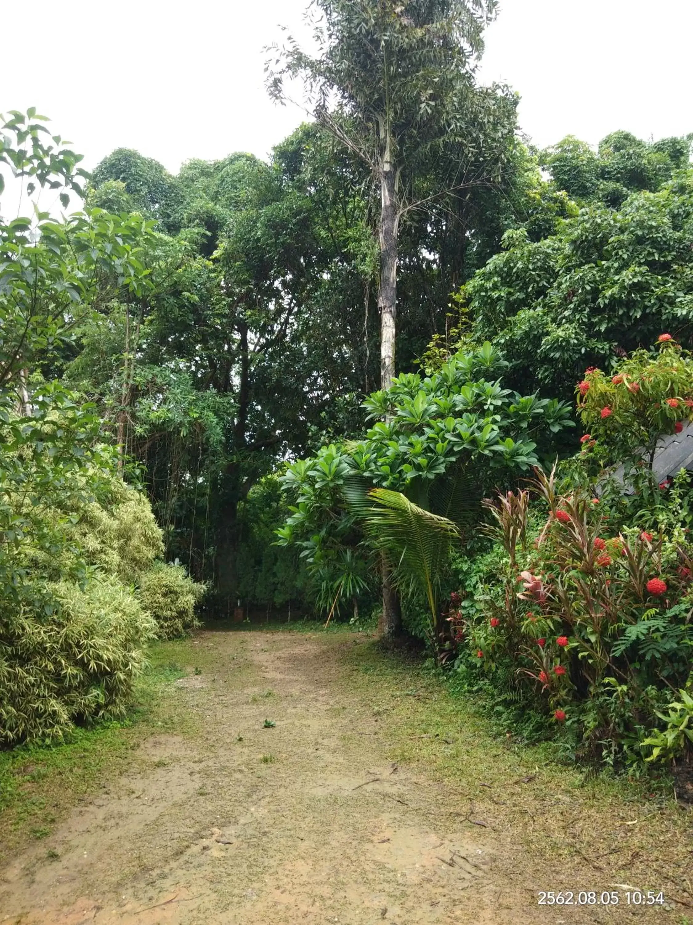 Baan Suan Jantra Home Stay Baan Suan Jantra Home Stay