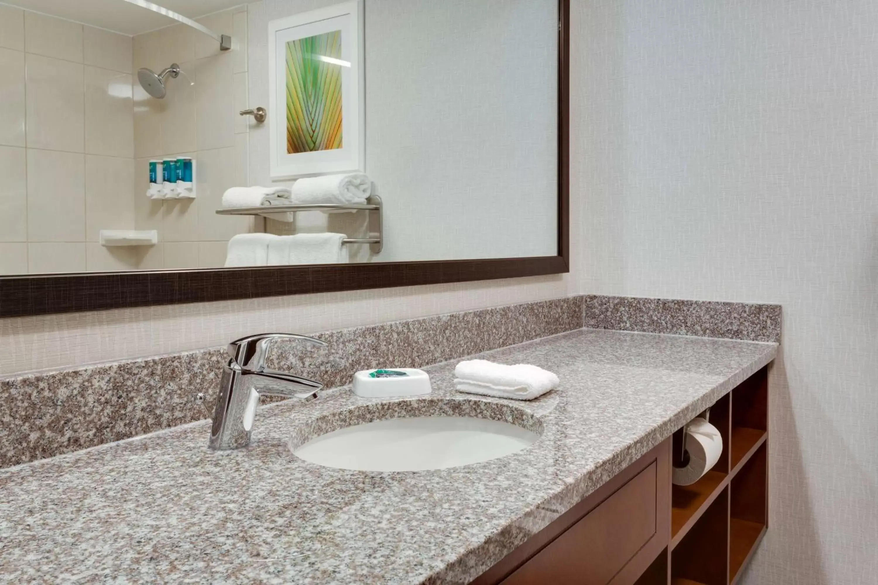 Bathroom in Drury Inn & Suites Columbia Stadium Boulevard