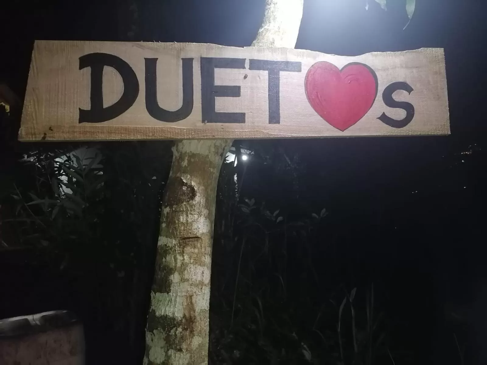 Property logo or sign in Duet Hearts