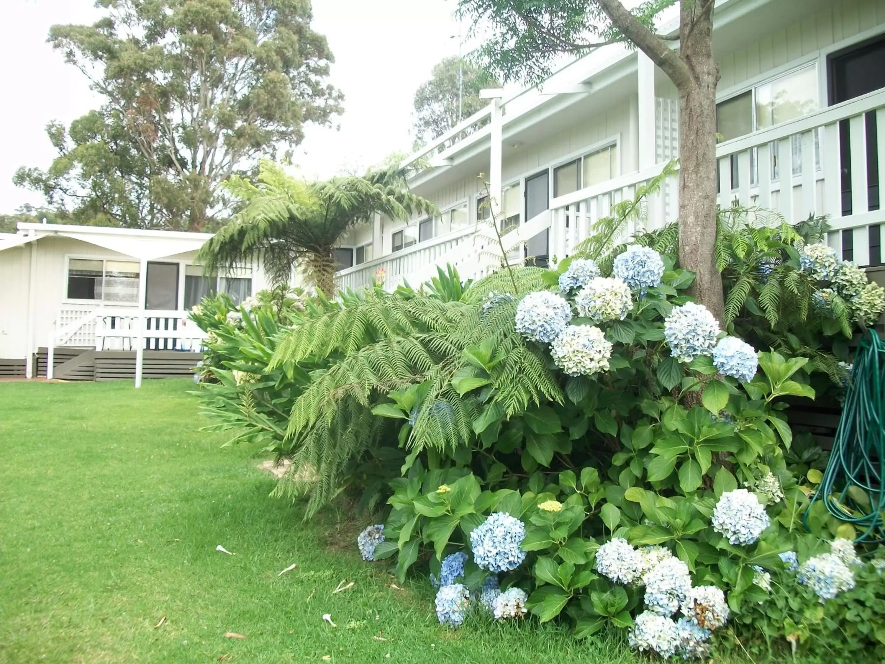 Other, Garden in Top of the Lake Holiday Units