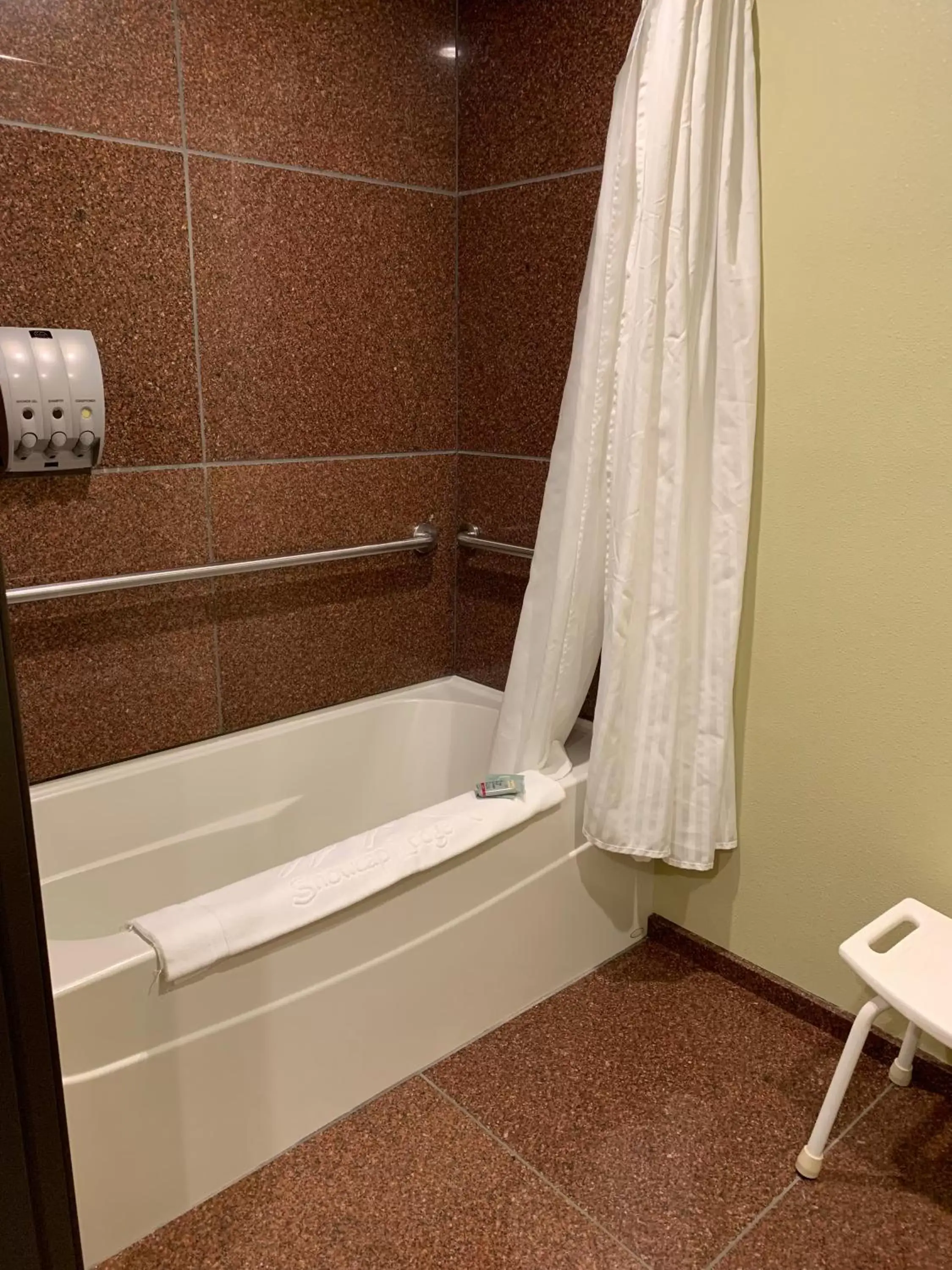 Bathroom in Best Western Snowcap Lodge