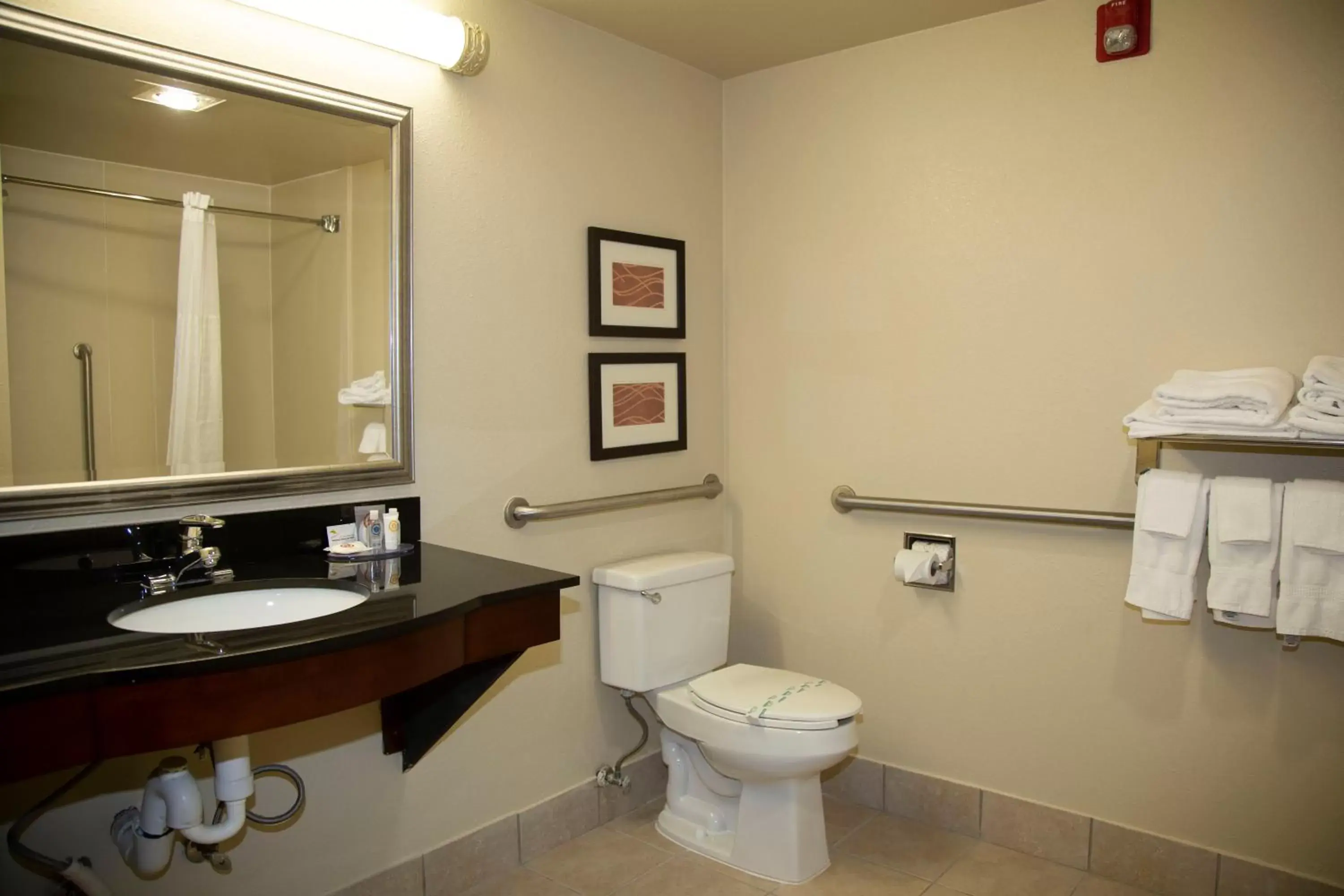 Shower, Bathroom in Comfort Inn & Suites Ardmore