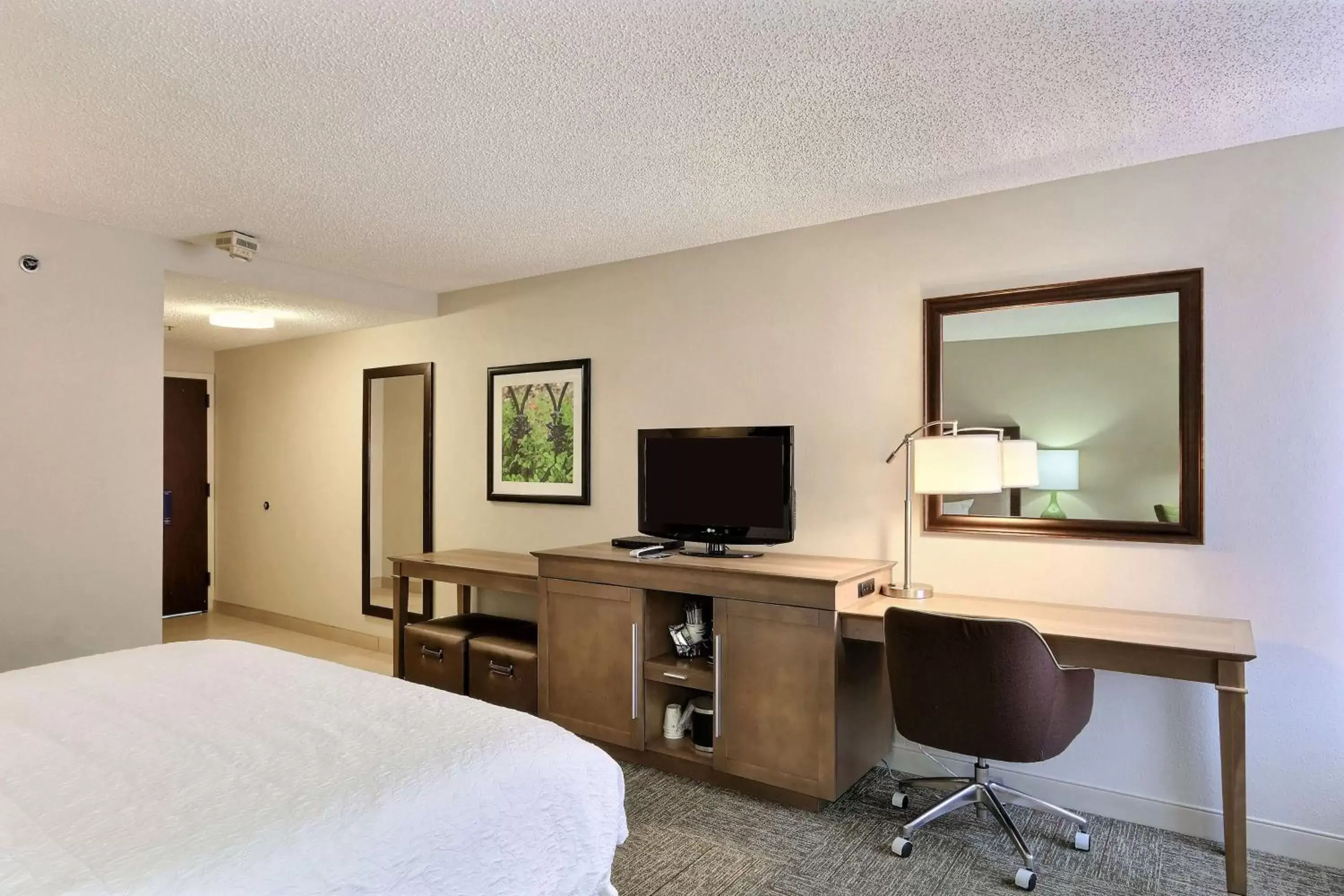 Bed, TV/Entertainment Center in Hampton Inn Savannah-I-95/Richmond Hill