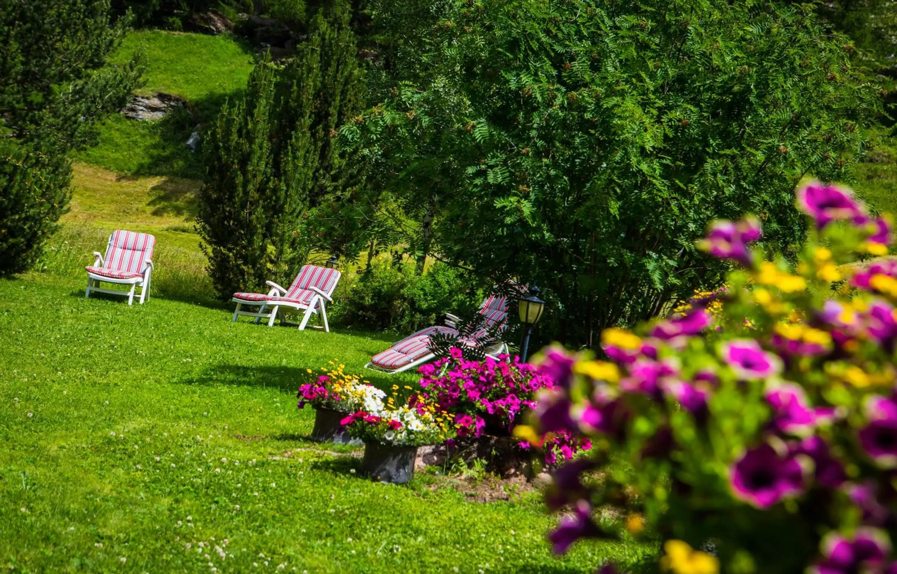 Garden in Hotel Alpenhof