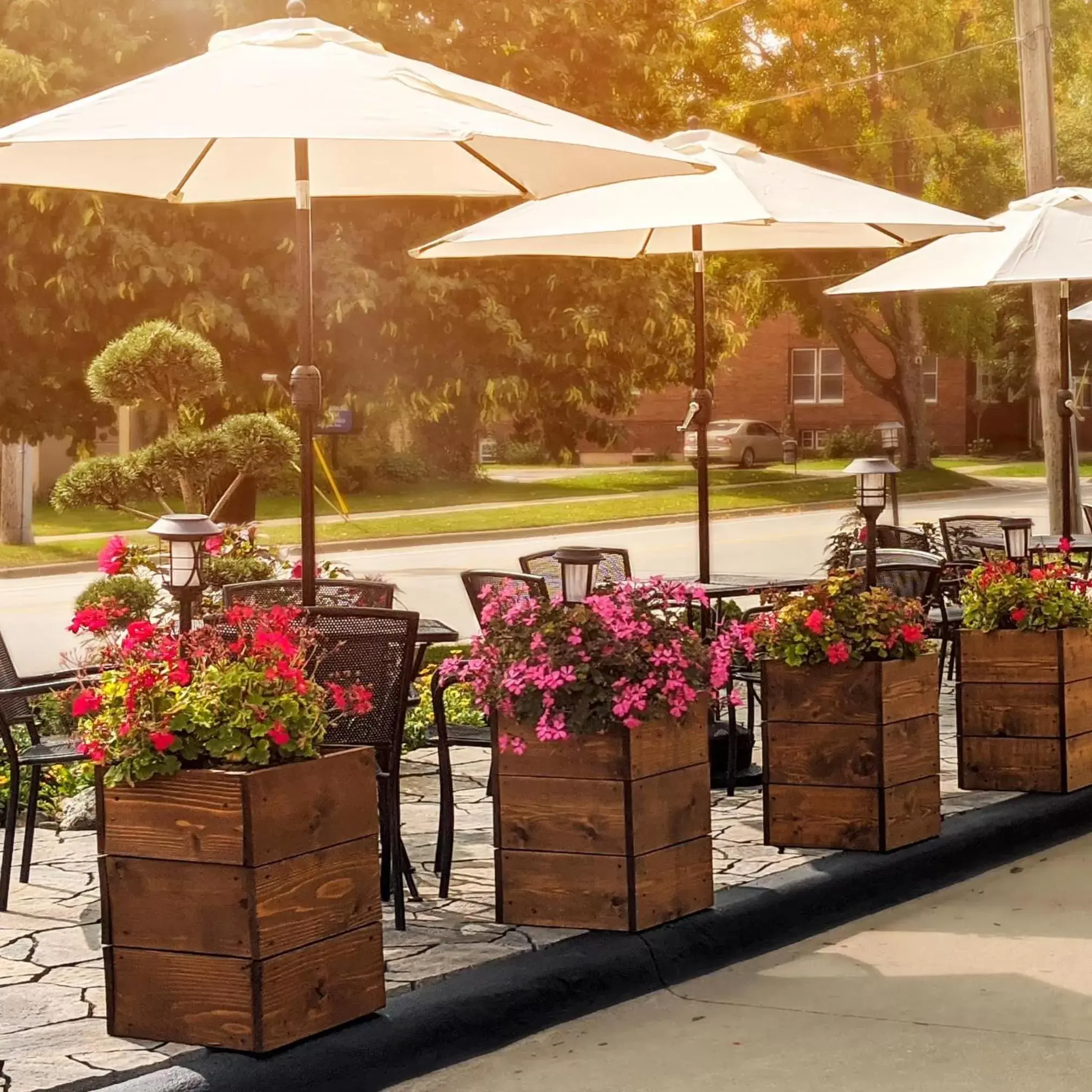 Facade/entrance in Centerstone Plaza Hotel Soldiers Field - Mayo Clinic Area Facade/entrance in Centerstone Plaza Hotel Soldiers Field - Mayo Clinic Area