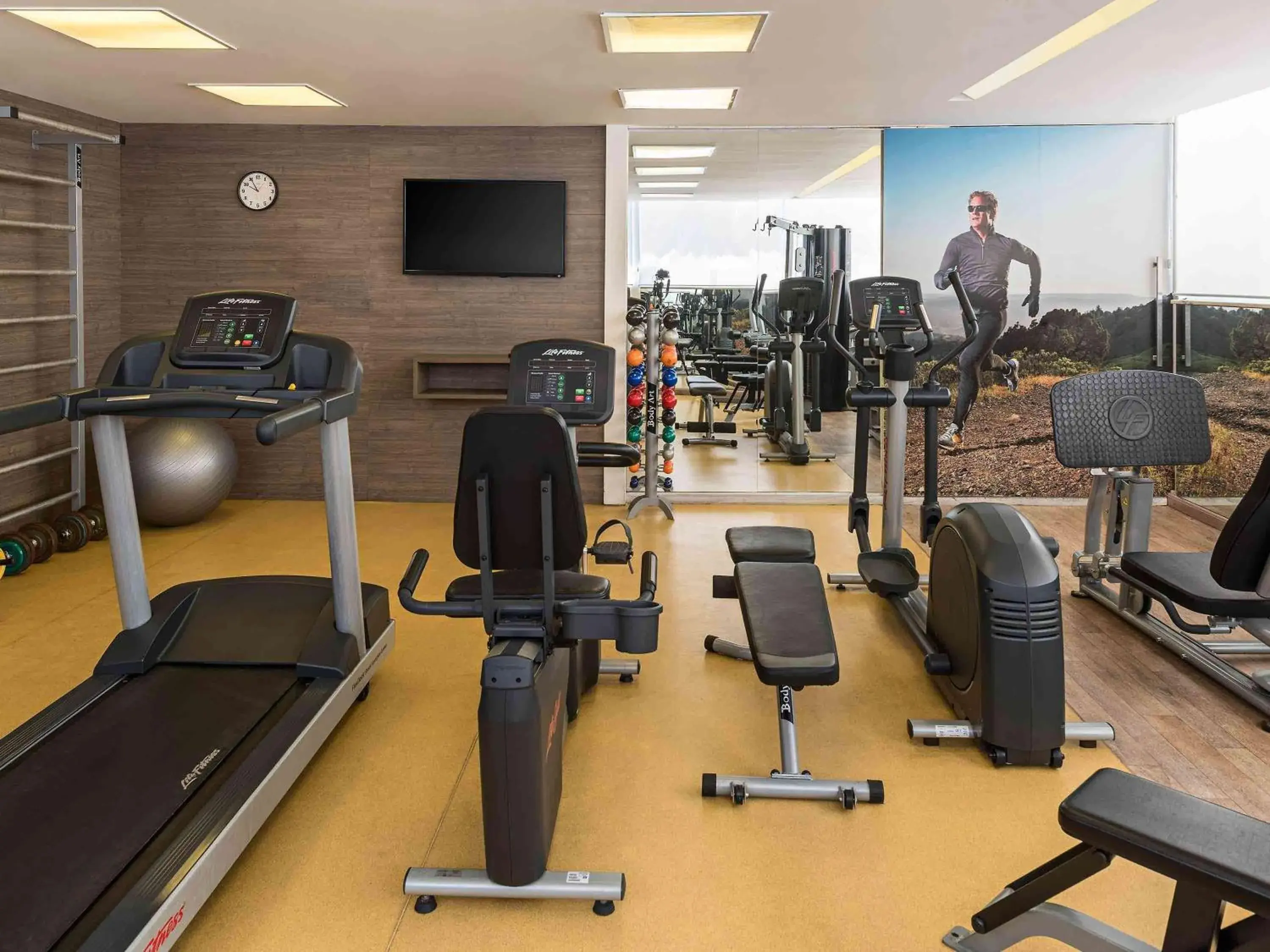 Fitness centre/facilities, Fitness Center/Facilities in Mercure Belo Horizonte Savassi