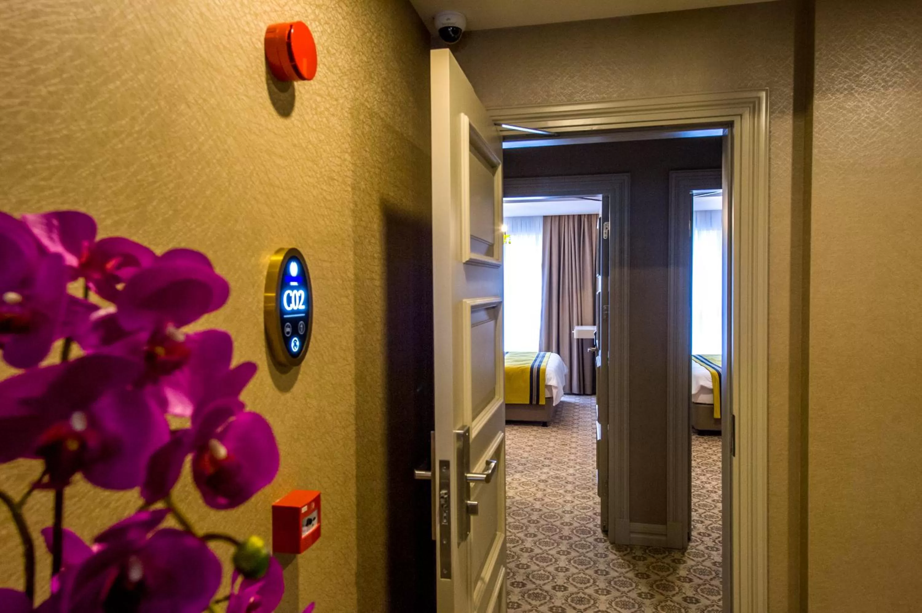 Family in Homelike Hotel