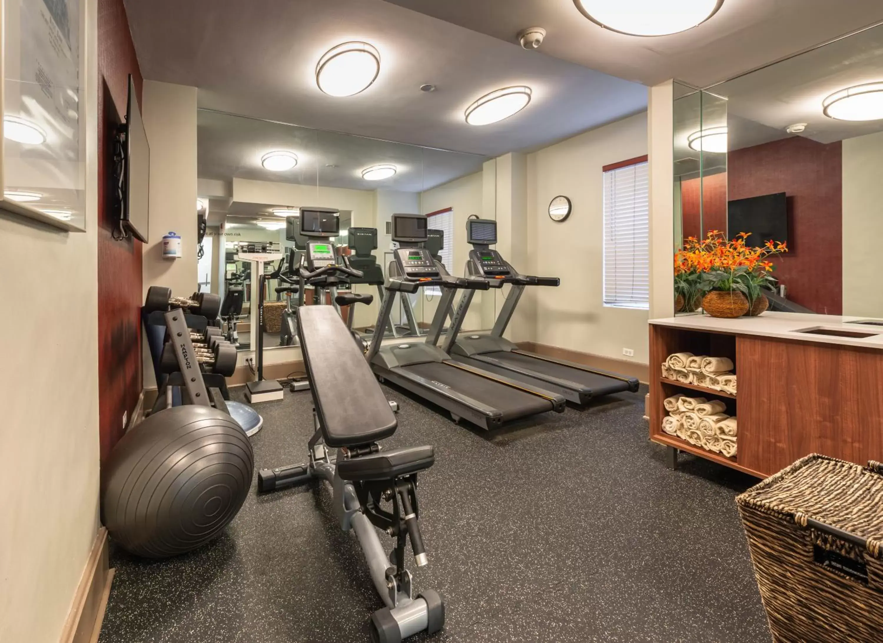 Fitness centre/facilities, Fitness Center/Facilities in Holiday Inn Express Chicago - Magnificent Mile, an IHG Hotel