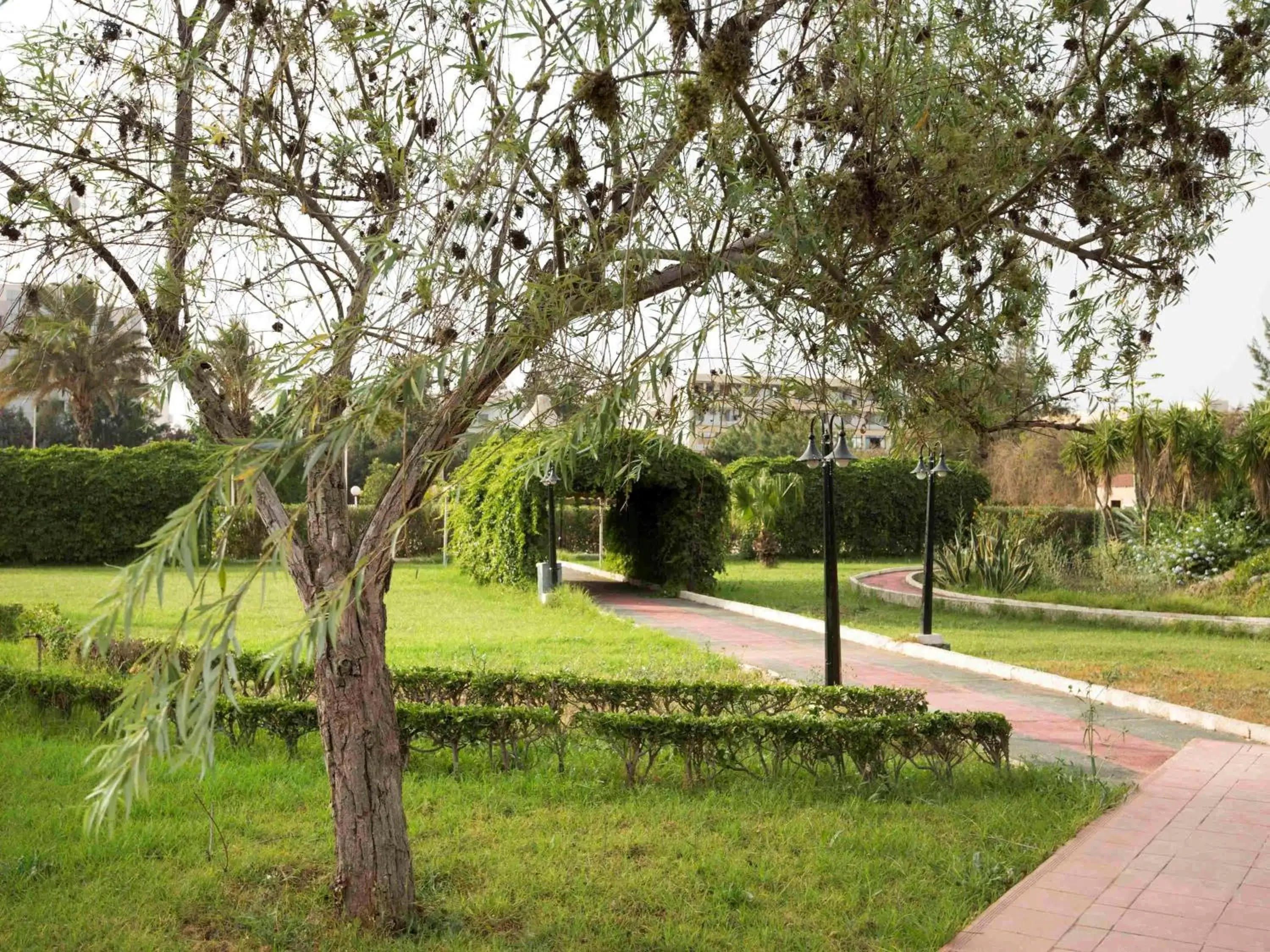 Other, Garden in Hotel Mercure Alger Aéroport