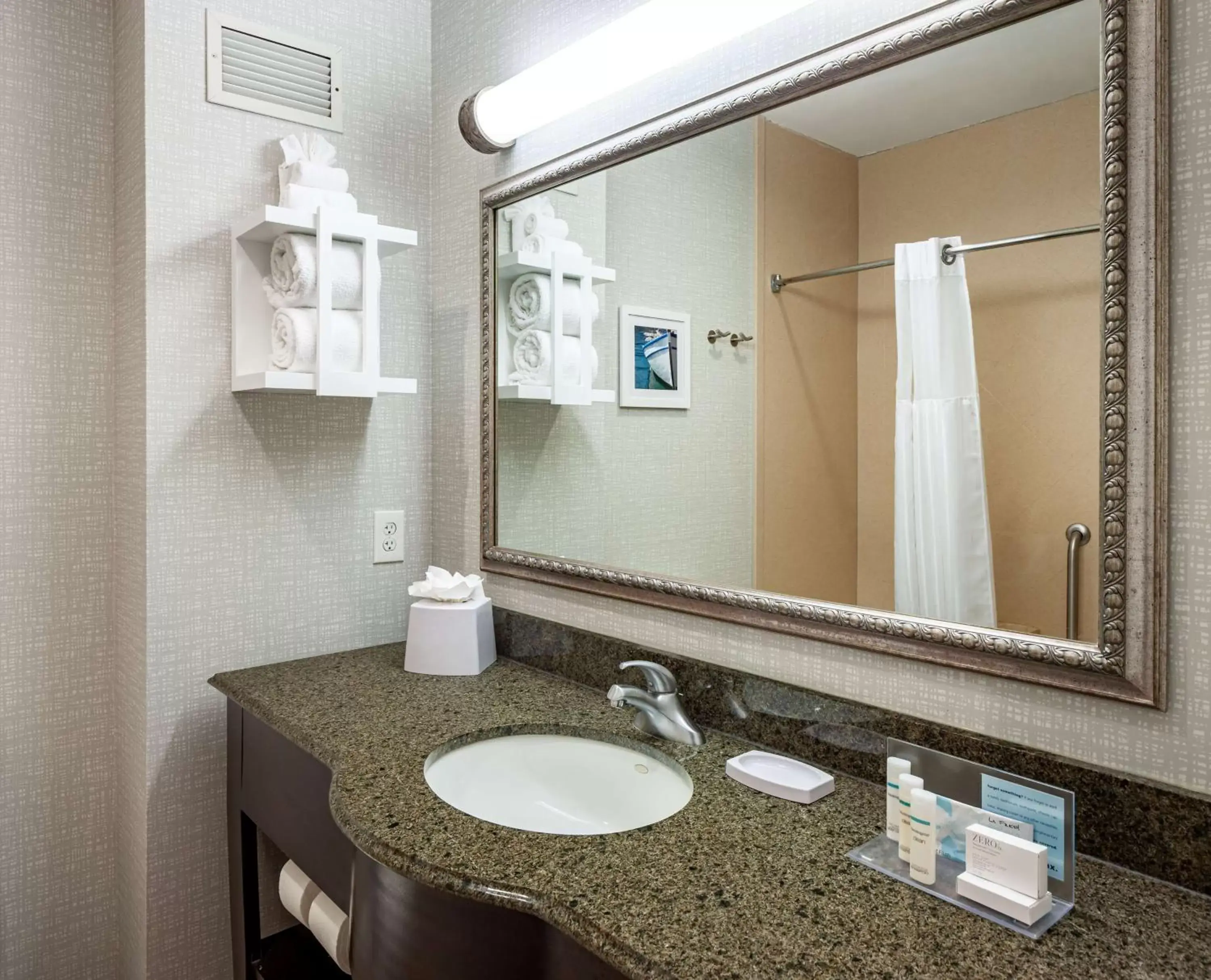 Bathroom in Hampton Inn & Suites Texarkana