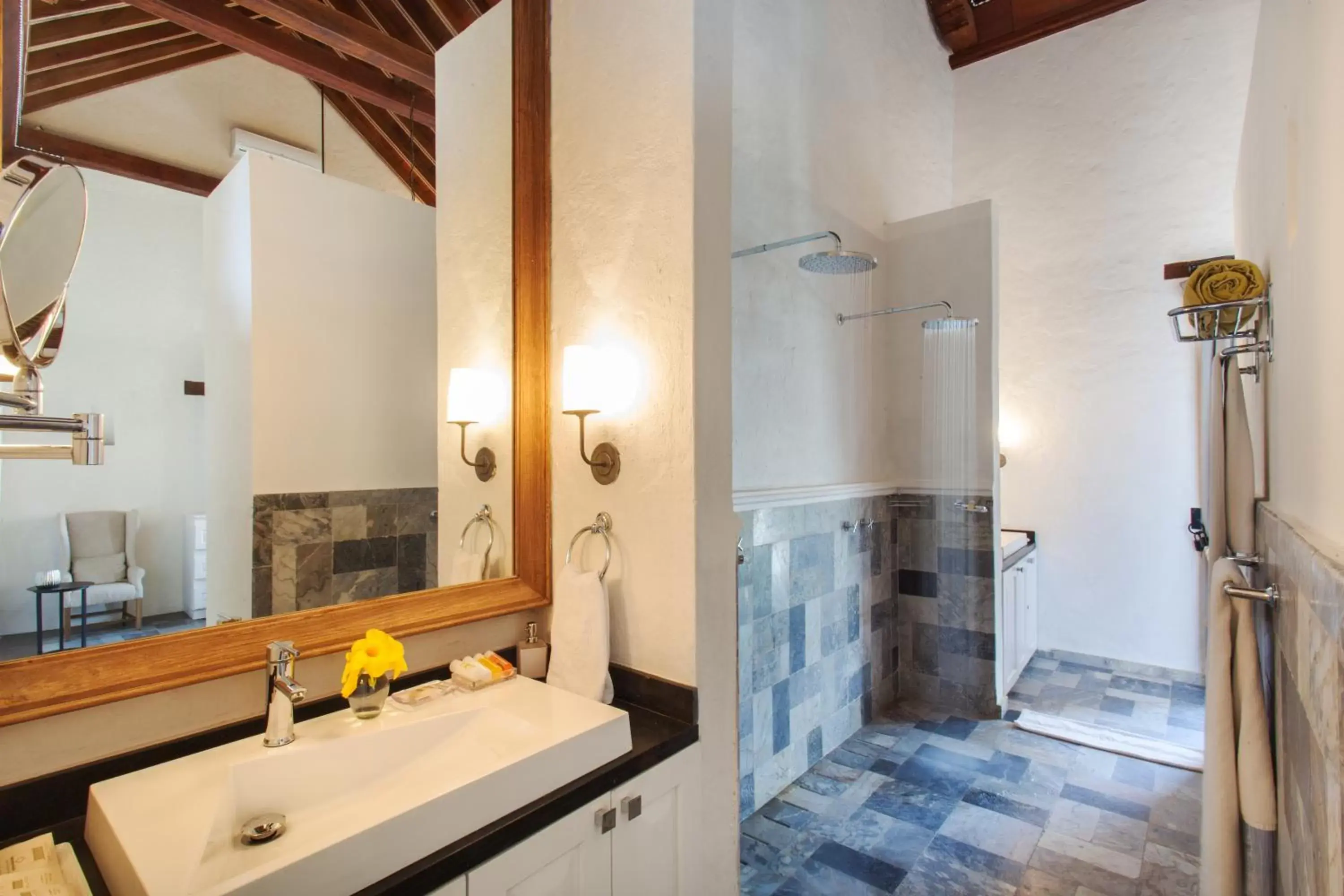 Area and facilities, Bathroom in Hotel Boutique Casa del Coliseo