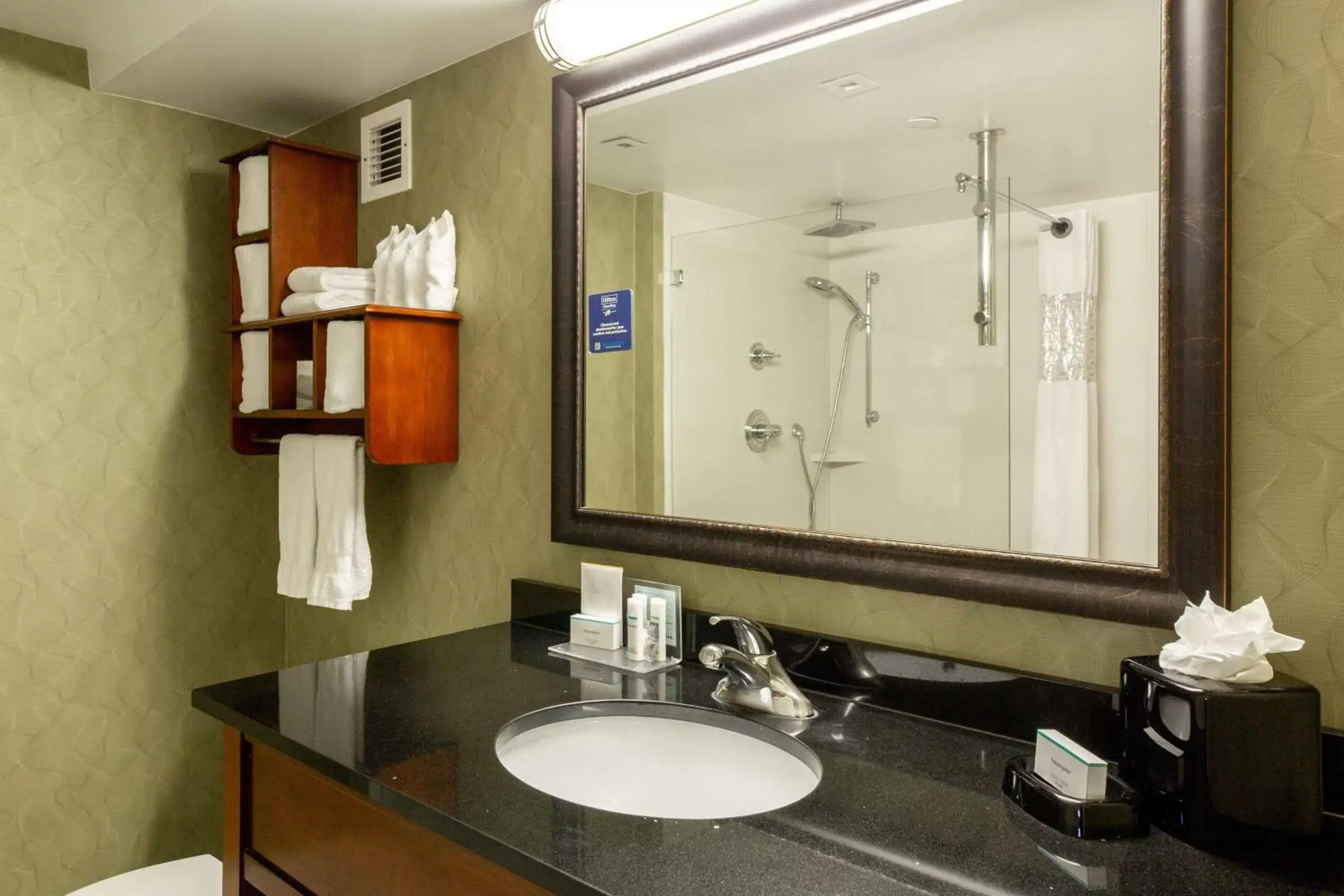 Bathroom in Hampton Inn Winston-Salem Hanes Mall