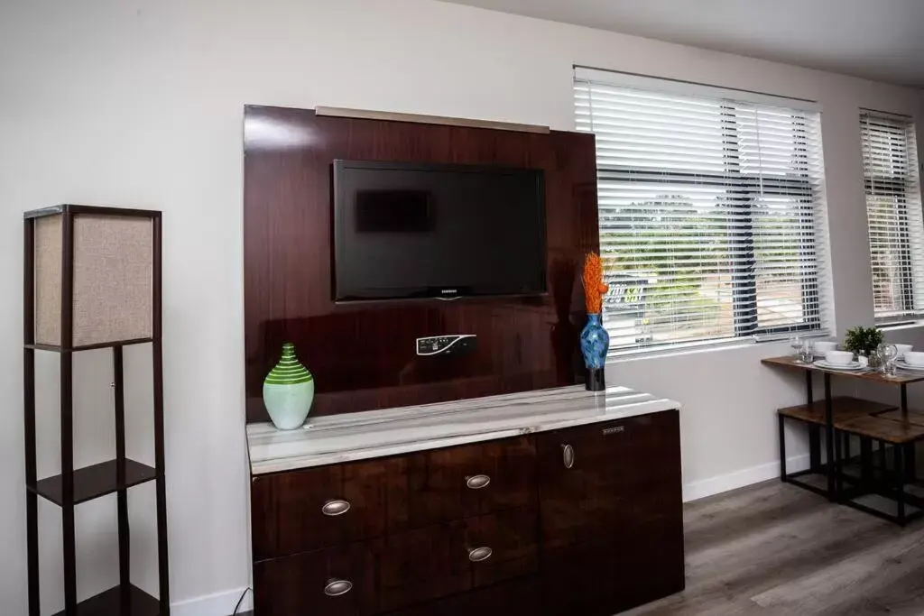 TV/Entertainment Center in One Bedroom Apartment with Luxurious Furnitures