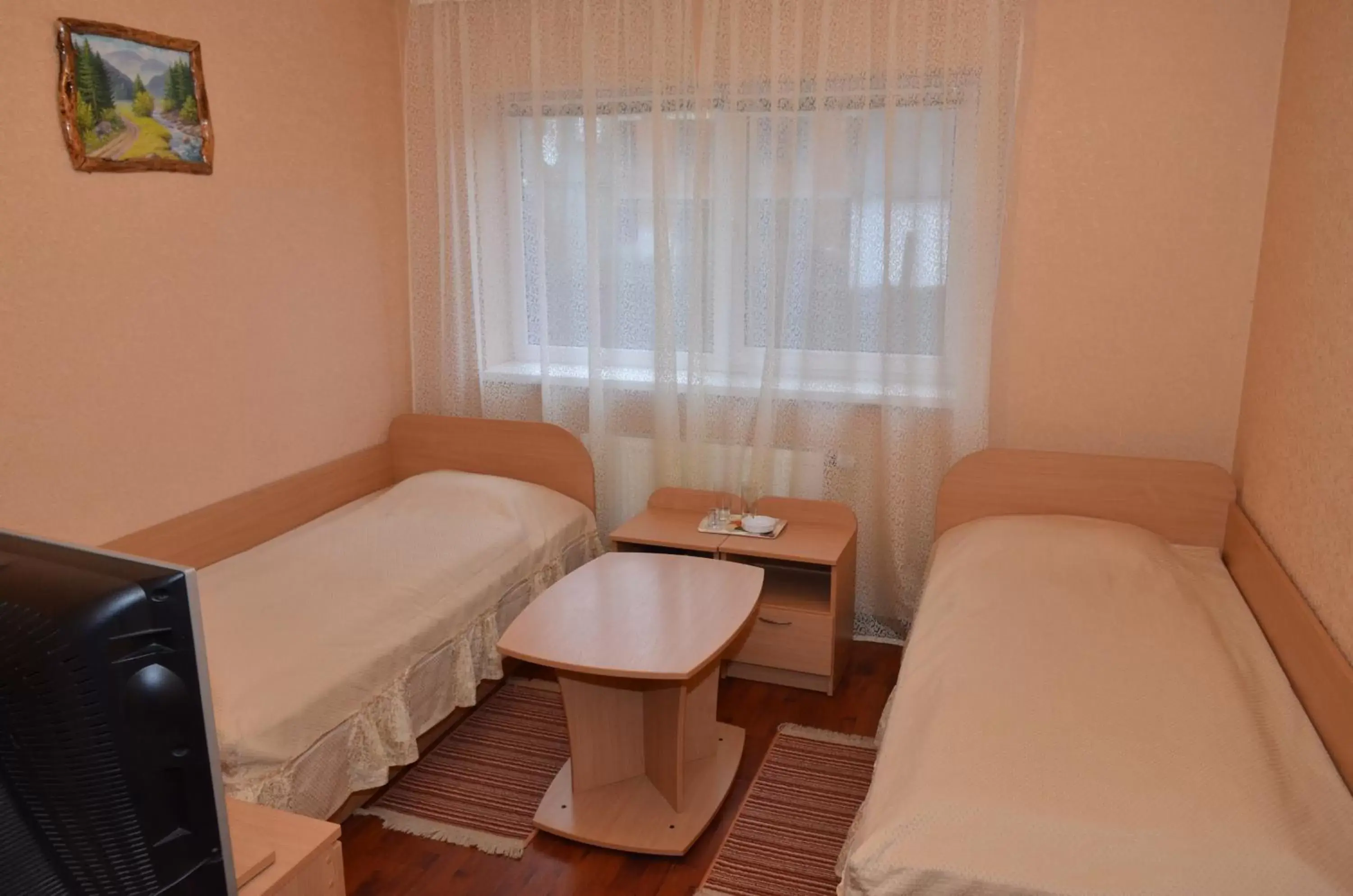 Twin Room - single occupancy in Hotel Serpanok Twin Room - single occupancy in Hotel Serpanok