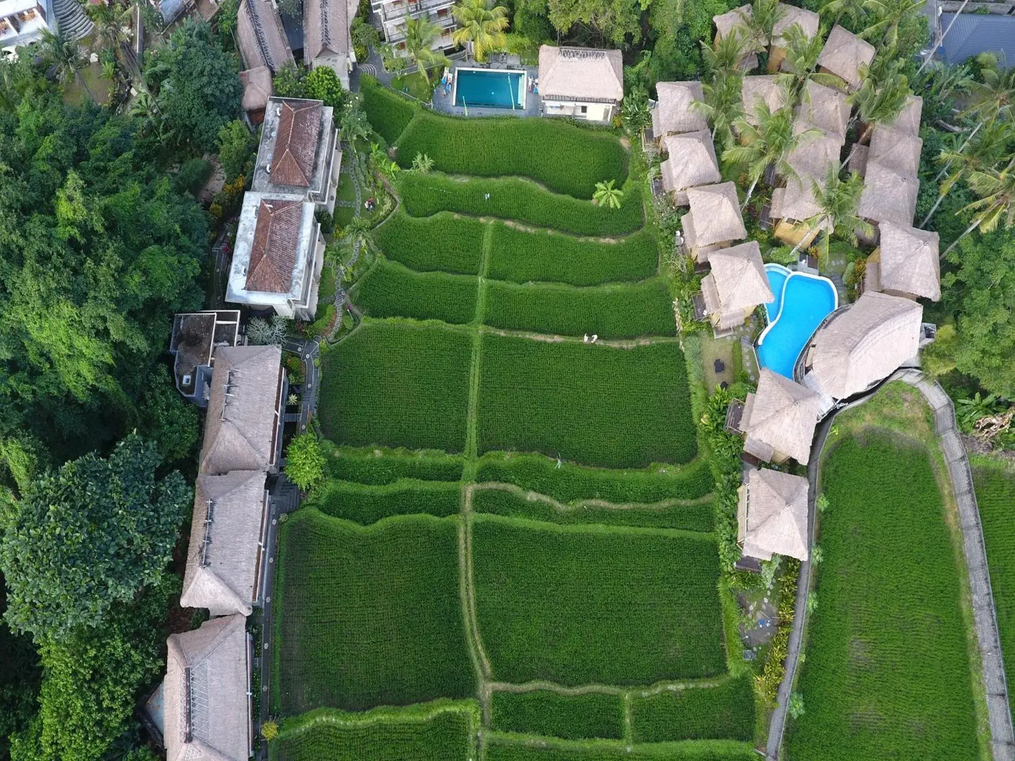 View (from property/room), Bird's-eye View in Biyukukung Suite & Spa