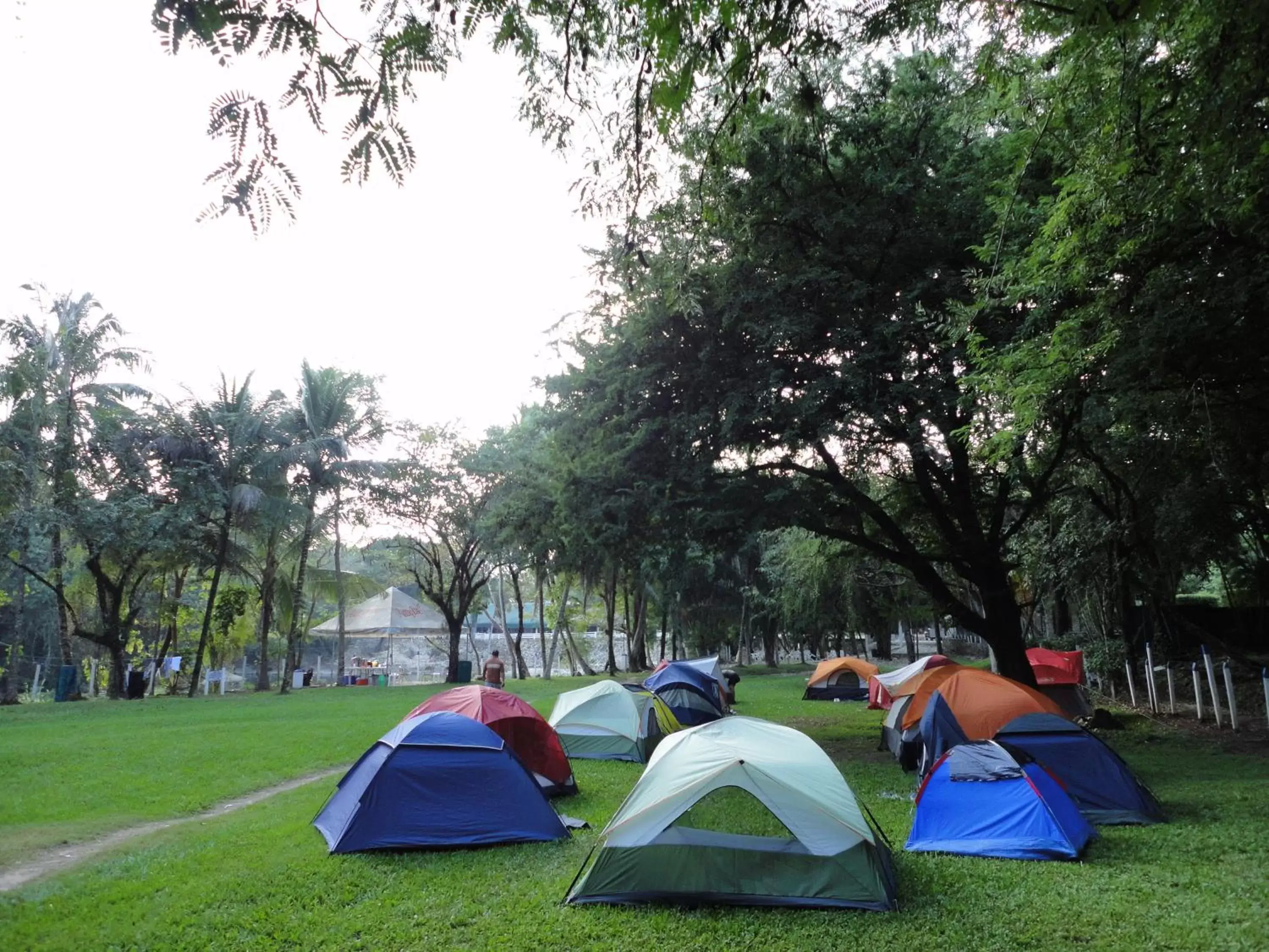 Activities in Hotel Nututun Palenque