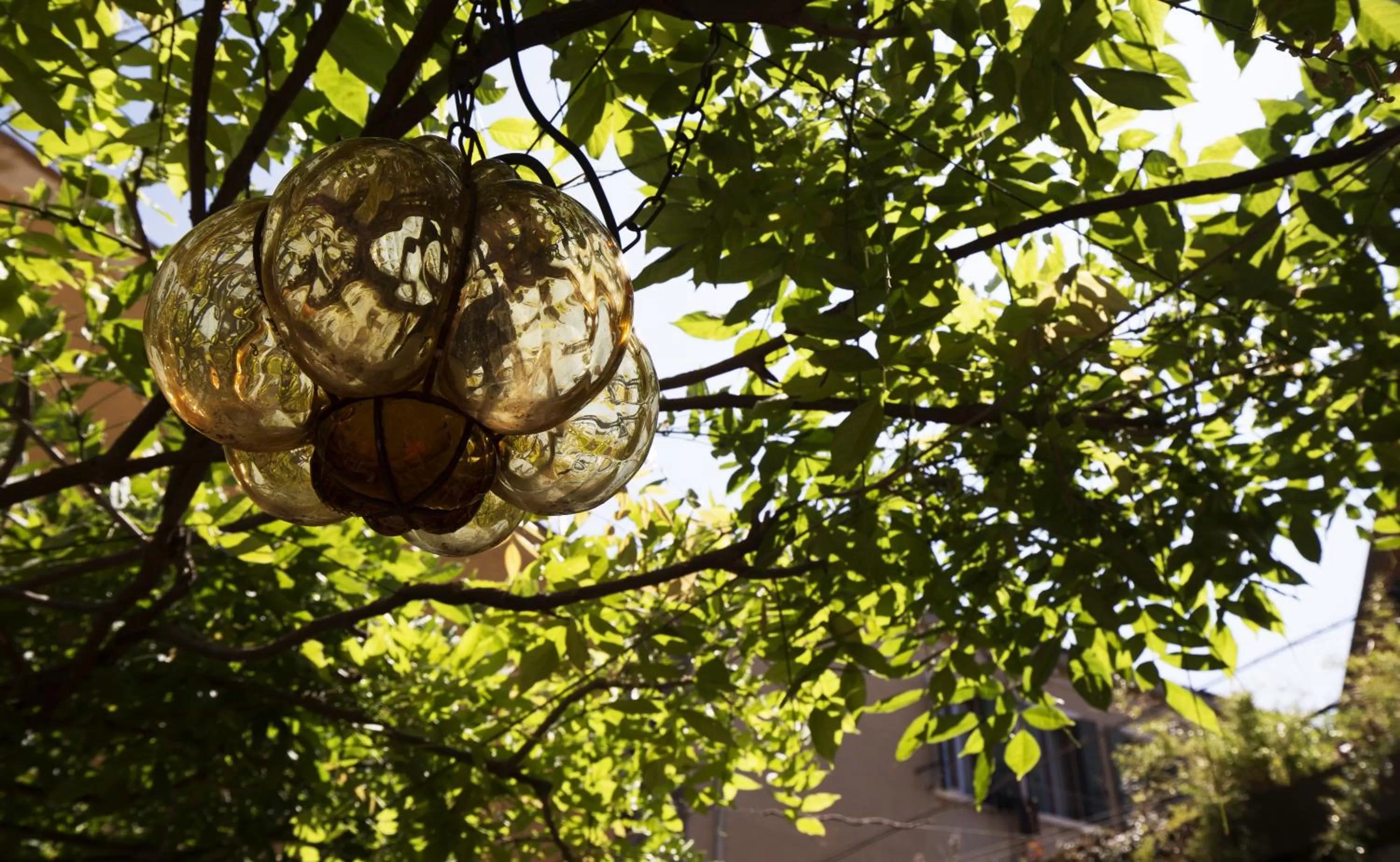 Garden in Avogaria 5 Rooms