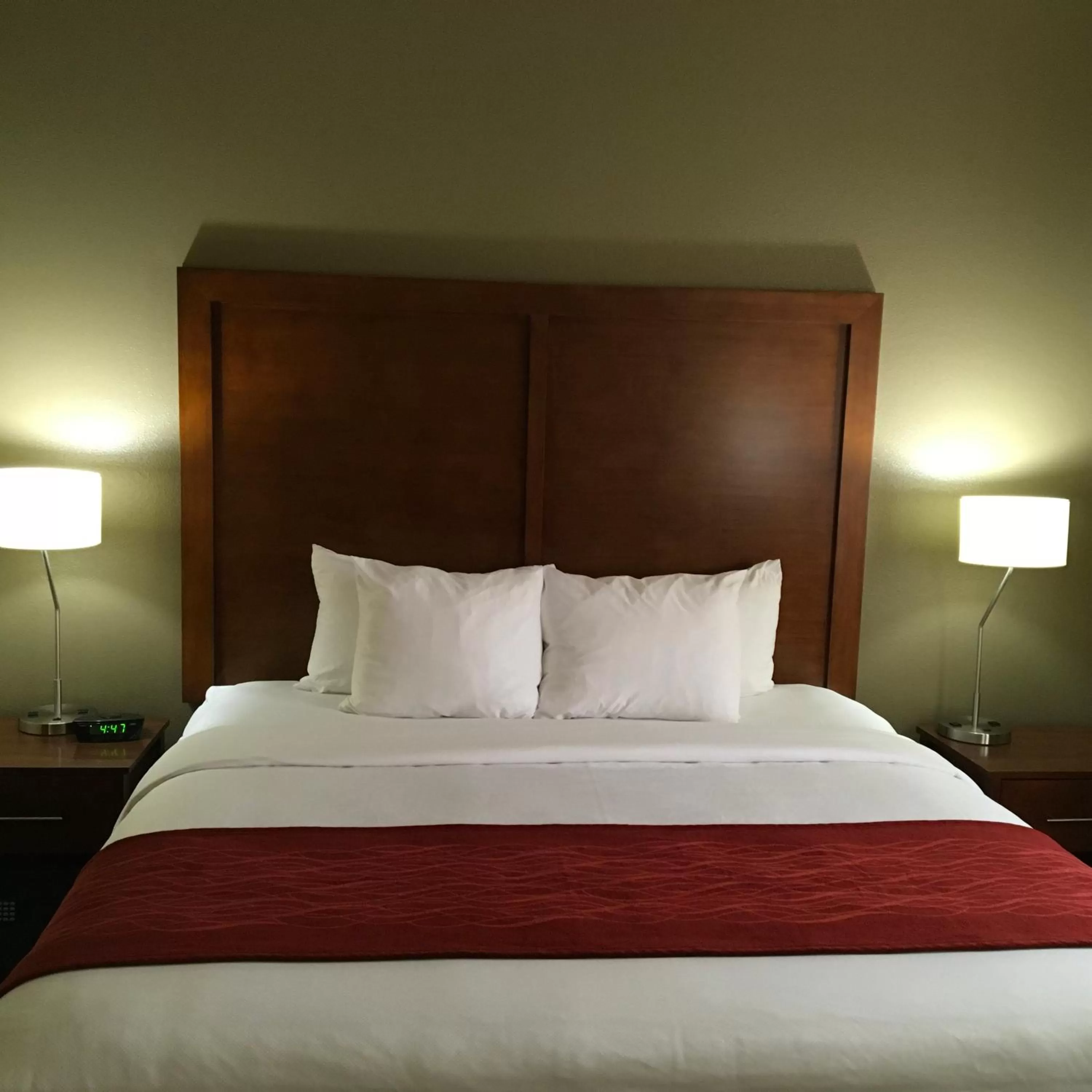 Standard King Room - Non-Smoking  in Comfort Inn & Suites near Kino Sports Complex