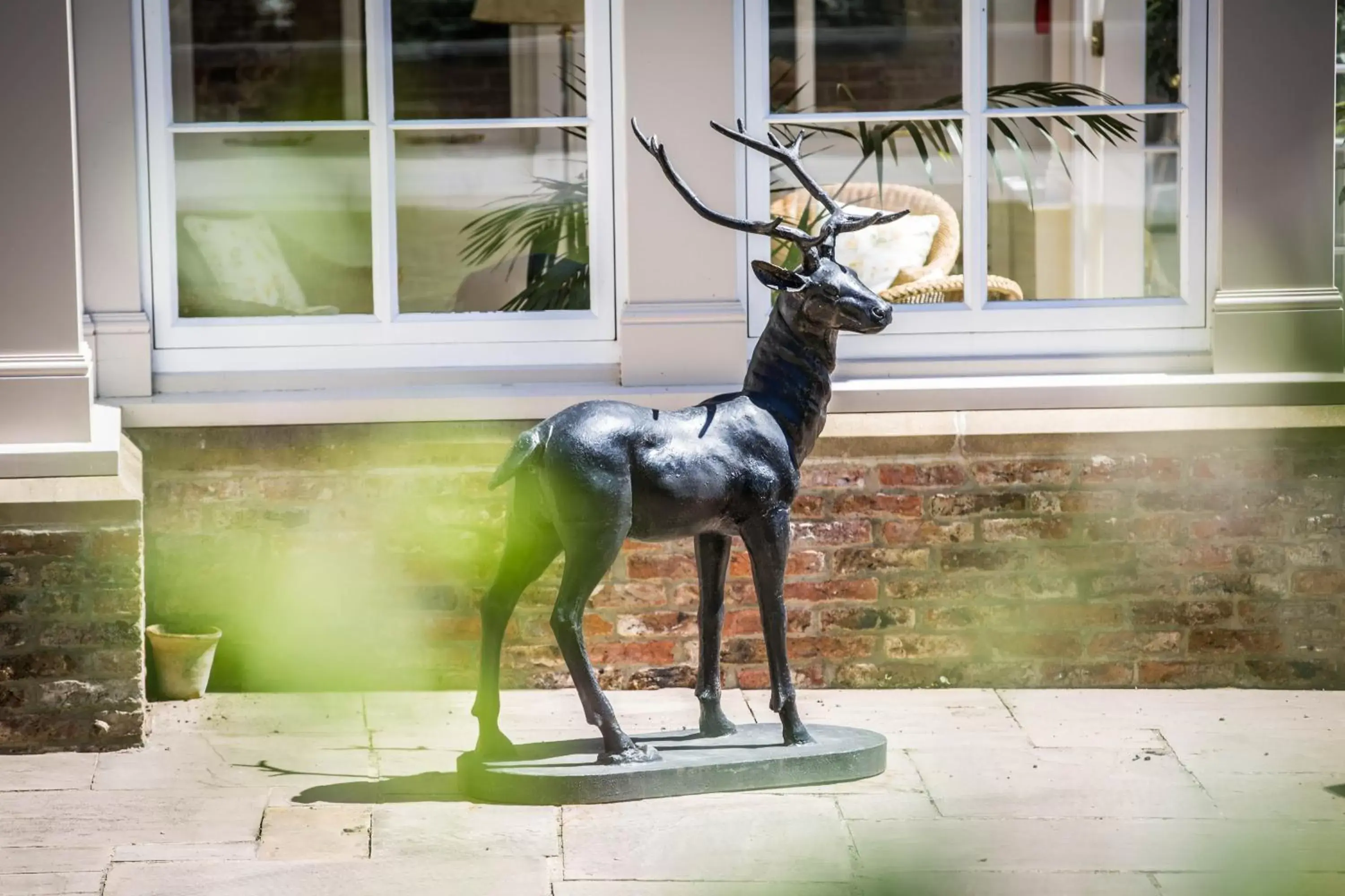 Garden, Other Animals in Goldsborough Hall