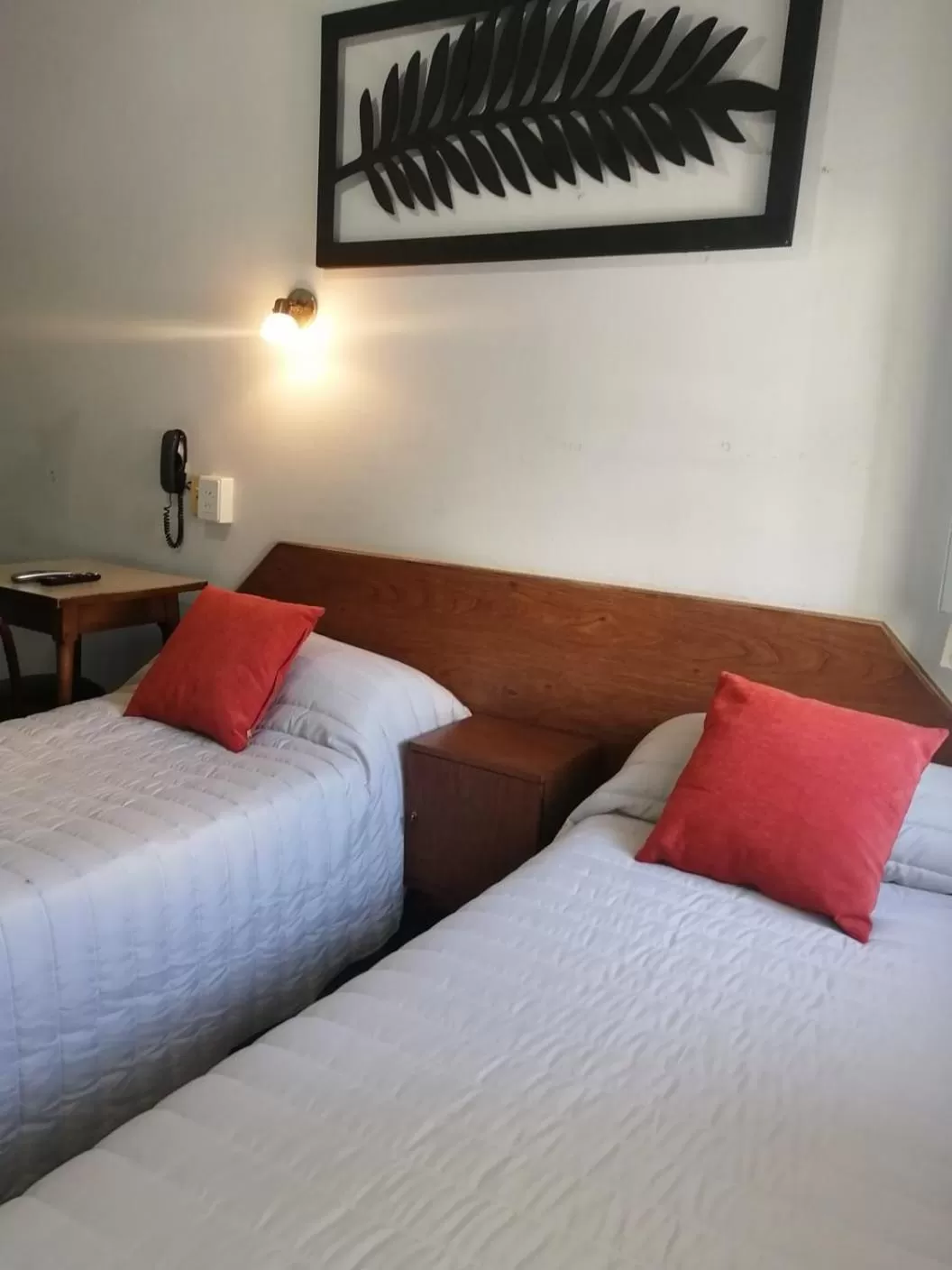 Bed in Suite Confortable en Palermo Omega