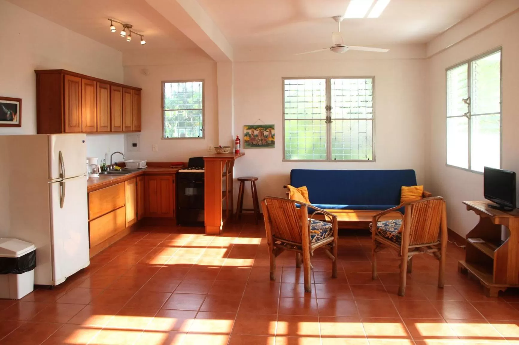 Kitchen or kitchenette in BlueBelize B&B