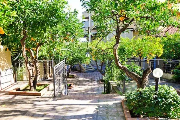 Garden in Ares Hotel